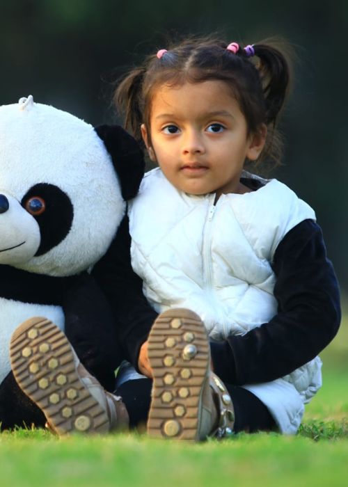 Teddy Bear Panda - Cute Plush Toy for All Ages - Shivani Jaswal Teddy Bear Panda plush toy, soft and cuddly with button eyes and realistic black-and-white fur design.