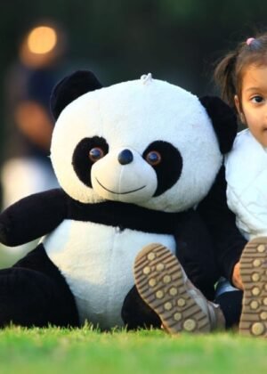 Teddy Bear Panda plush toy, soft and cuddly with button eyes and realistic black-and-white fur design.