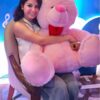 Back BANCHERS Soft Toy 4 Feet Pink Perfect Gift
