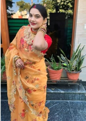 Khadi Organza Silk Saree – Embroidered Digital Print & Diamond Border