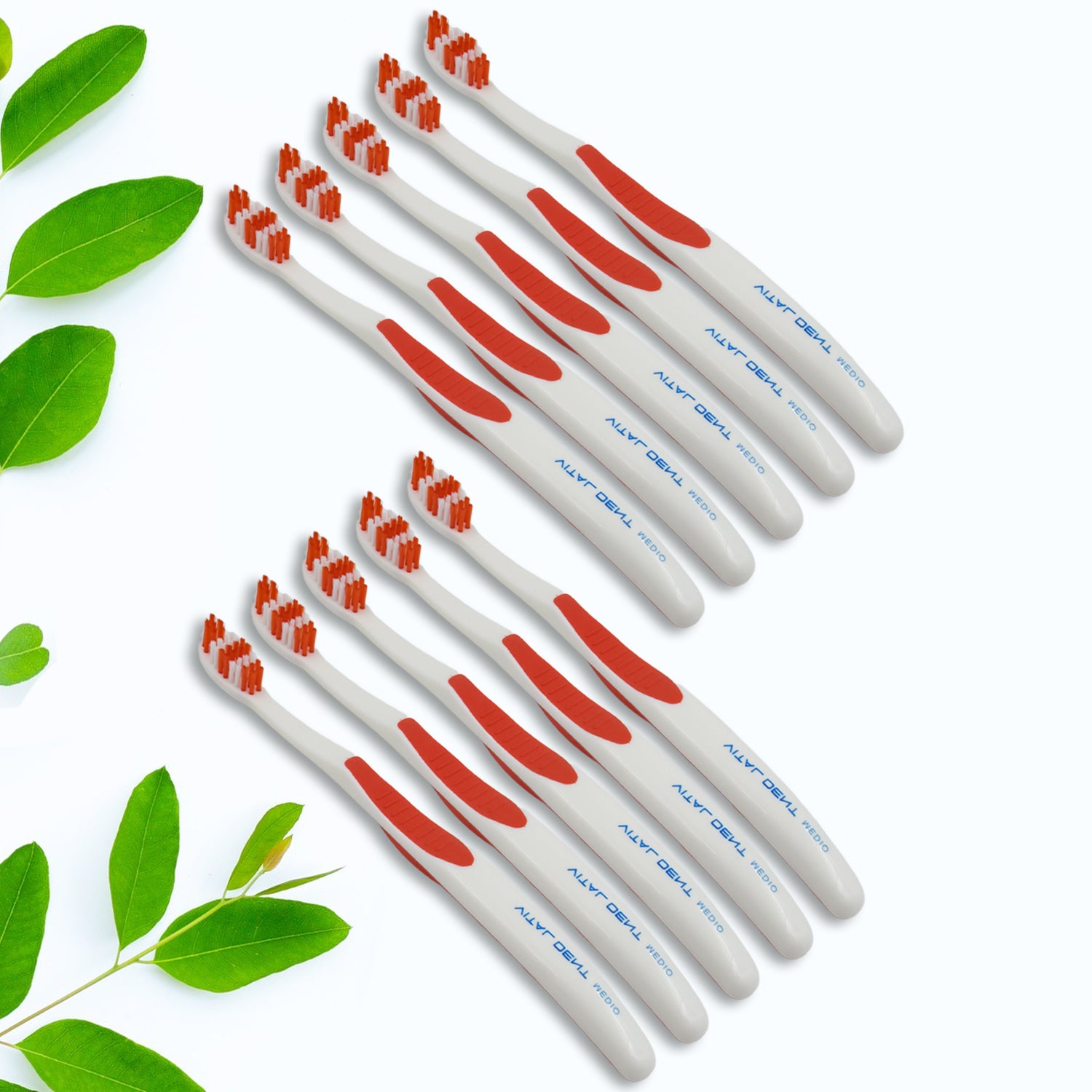 Soft Toothbrush With Plastic Round Box for Men and Women, Kids, Adults Plastic Toothbrush (10 pcs Set) - Shivani Jaswal Soft Toothbrush With Plastic Round Box for Men and Women, Kids, Adults Plastic Toothbrush (10 pcs Set)