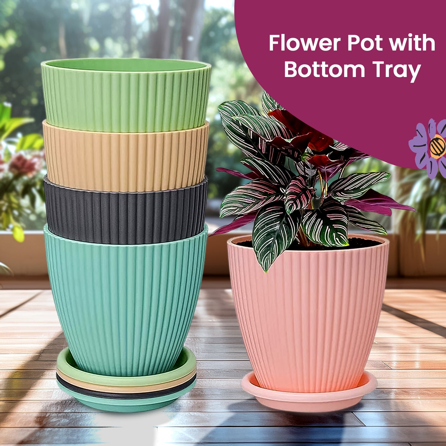 Round Plastic Flower Pot with Bottom Tray (5 Pcs Set / With Color Box) - Shivani Jaswal Round Plastic Flower Pot with Bottom Tray (5 Pcs Set / With Color Box)