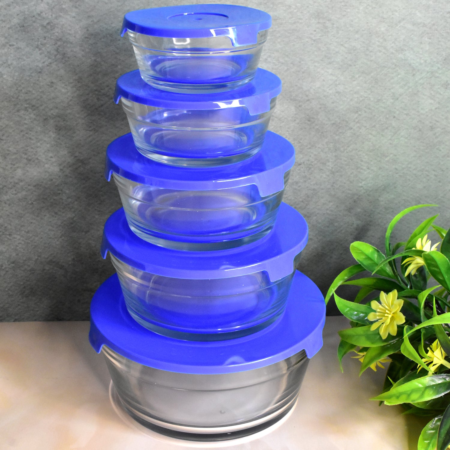 Modern Glass Bowl Set Mixing / Storage Bowls with Lids (5 Pcs Set) - Shivani Jaswal Modern Glass Bowl Set Mixing / Storage Bowls with Lids (5 Pcs Set)