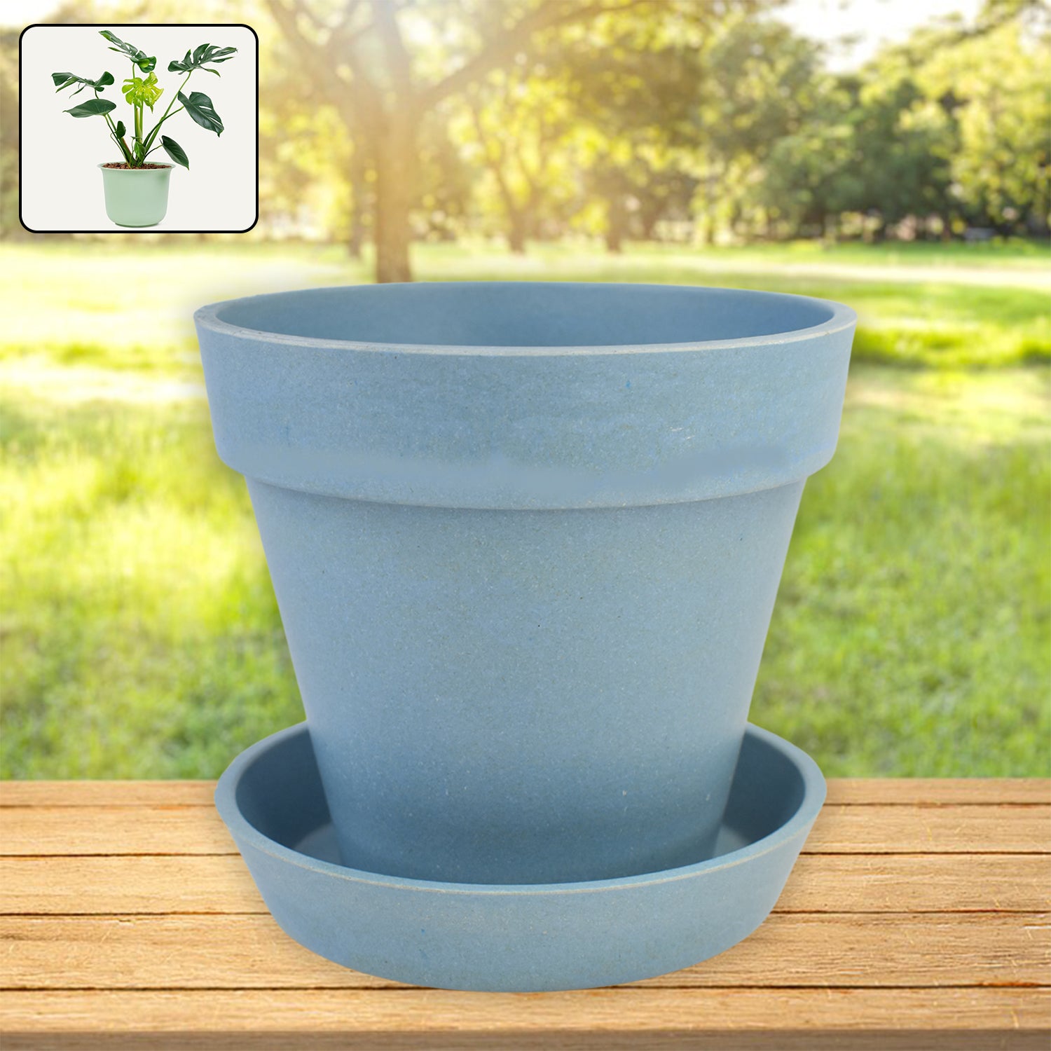 Heavy Plastic Flower pots With Tray (1 Pc) - Shivani Jaswal Heavy Plastic Flower pots With Tray (1 Pc)