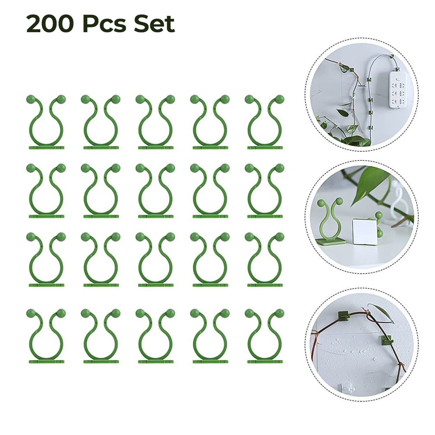 Plant Climbing Wall Fixture Clip Self-Adhesive Hook (200 Pcs Set) - Shivani Jaswal Plant Climbing Wall Fixture Clip Self-Adhesive Hook (200 Pcs Set)