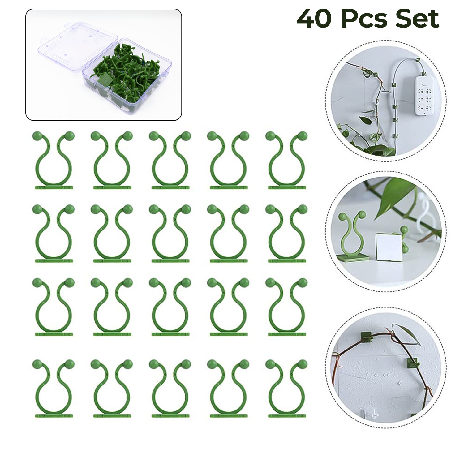 Plant Climbing Wall Fixture Clip Self-Adhesive Hook (40 Pcs Set / With plastic box) - Shivani Jaswal Plant Climbing Wall Fixture Clip Self-Adhesive Hook (40 Pcs Set / With plastic box)