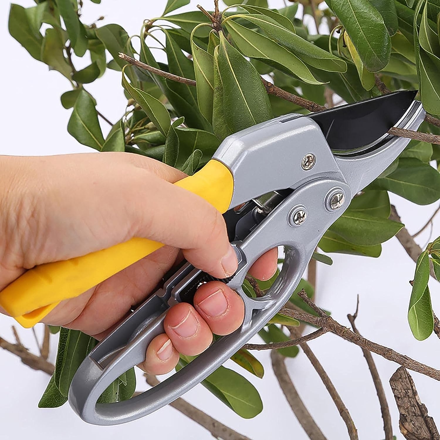 Pruning Shears, Gardening Shears, Enhanced Garden Shears Pruning Machine - Shivani Jaswal Pruning Shears, Gardening Shears, Enhanced Garden Shears Pruning Machine
