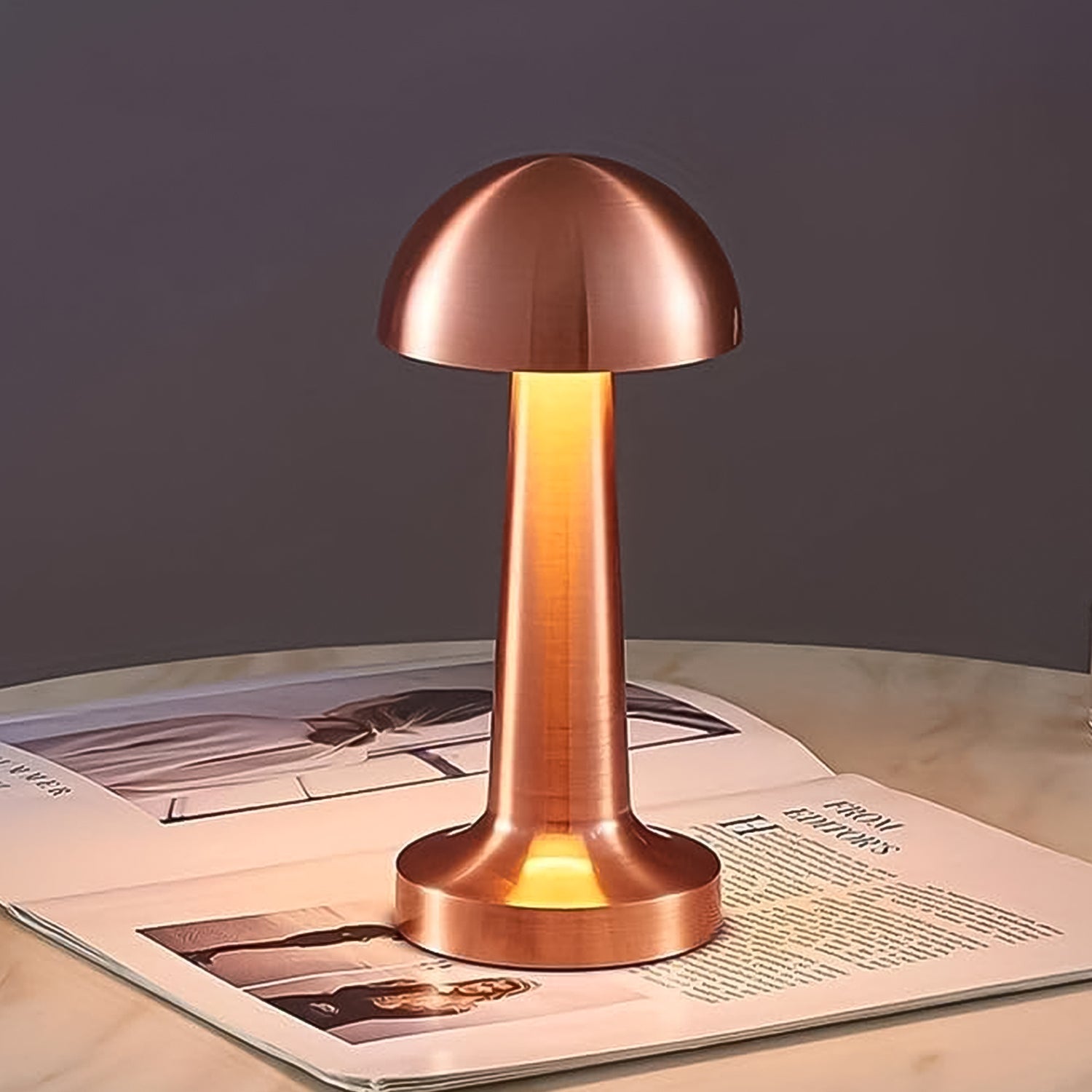 LED Lamp with Touch Control | Decorative Desk Lamp, Portable Metal LED Table Lamp - Shivani Jaswal LED Lamp with Touch Control | Decorative Desk Lamp, Portable Metal LED Table Lamp