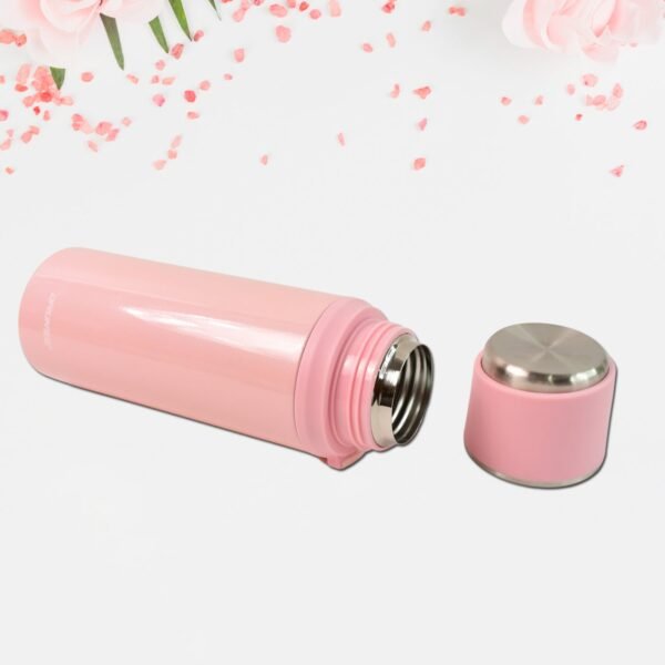 Stainless Steel Vacuum Insulated Water Bottle WIth Straw (550ml)