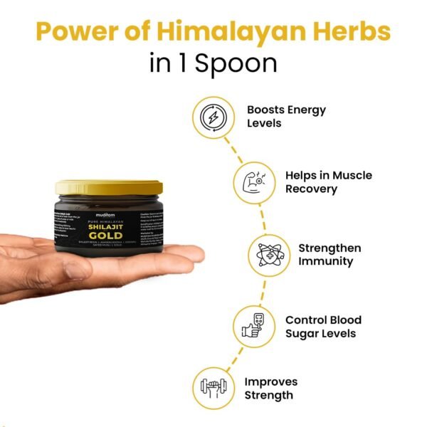Himalayan Shilajit Gold Resin â€“ 20g | Helps improve Stamina | Contains Gold