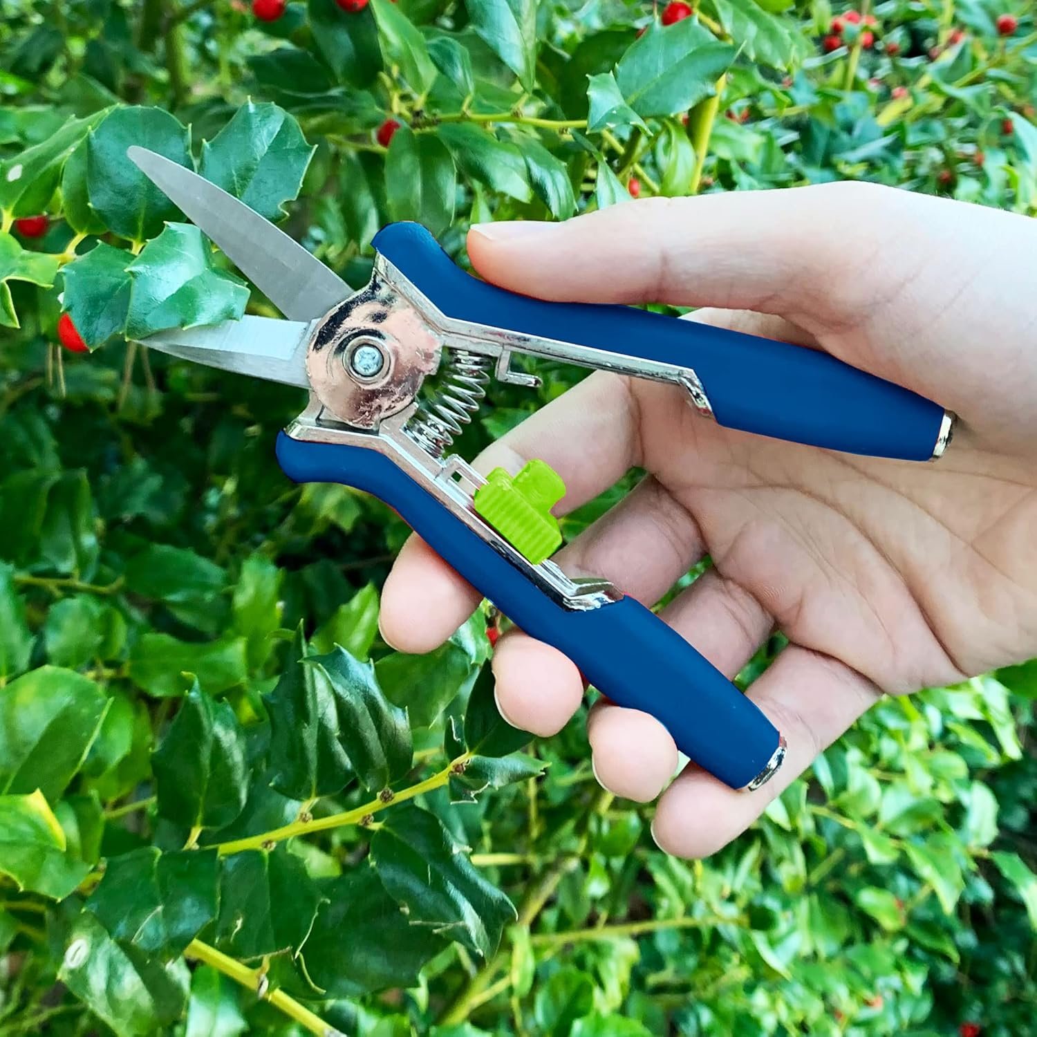 Precision Micro Garden Snip Pruning Scissor - Shivani Jaswal Precision Micro Garden Snip Pruning Scissor