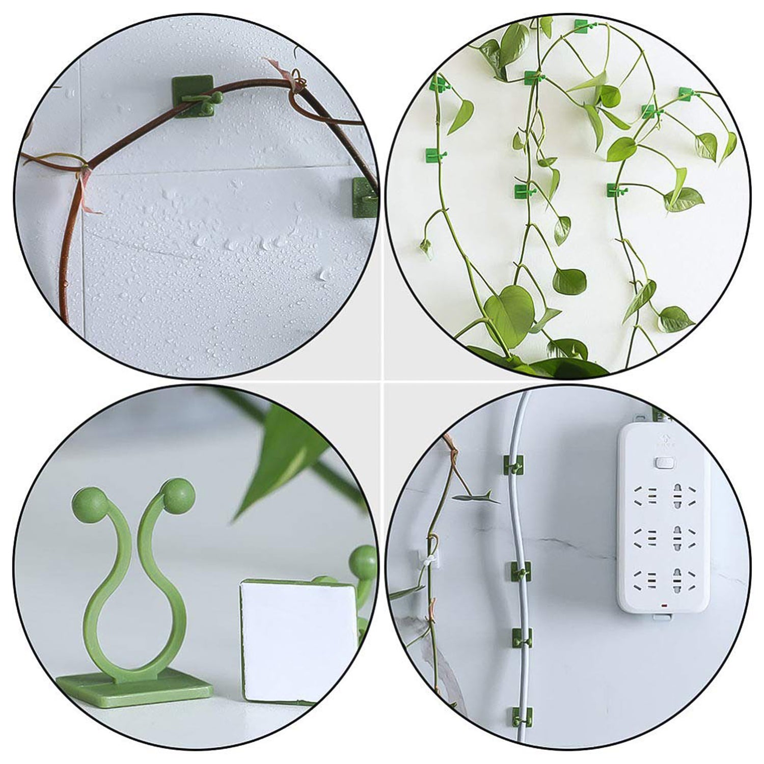 Plant Climbing Wall Fixture Clip Self-Adhesive Hook (200 Pcs Set) - Shivani Jaswal Plant Climbing Wall Fixture Clip Self-Adhesive Hook (200 Pcs Set)