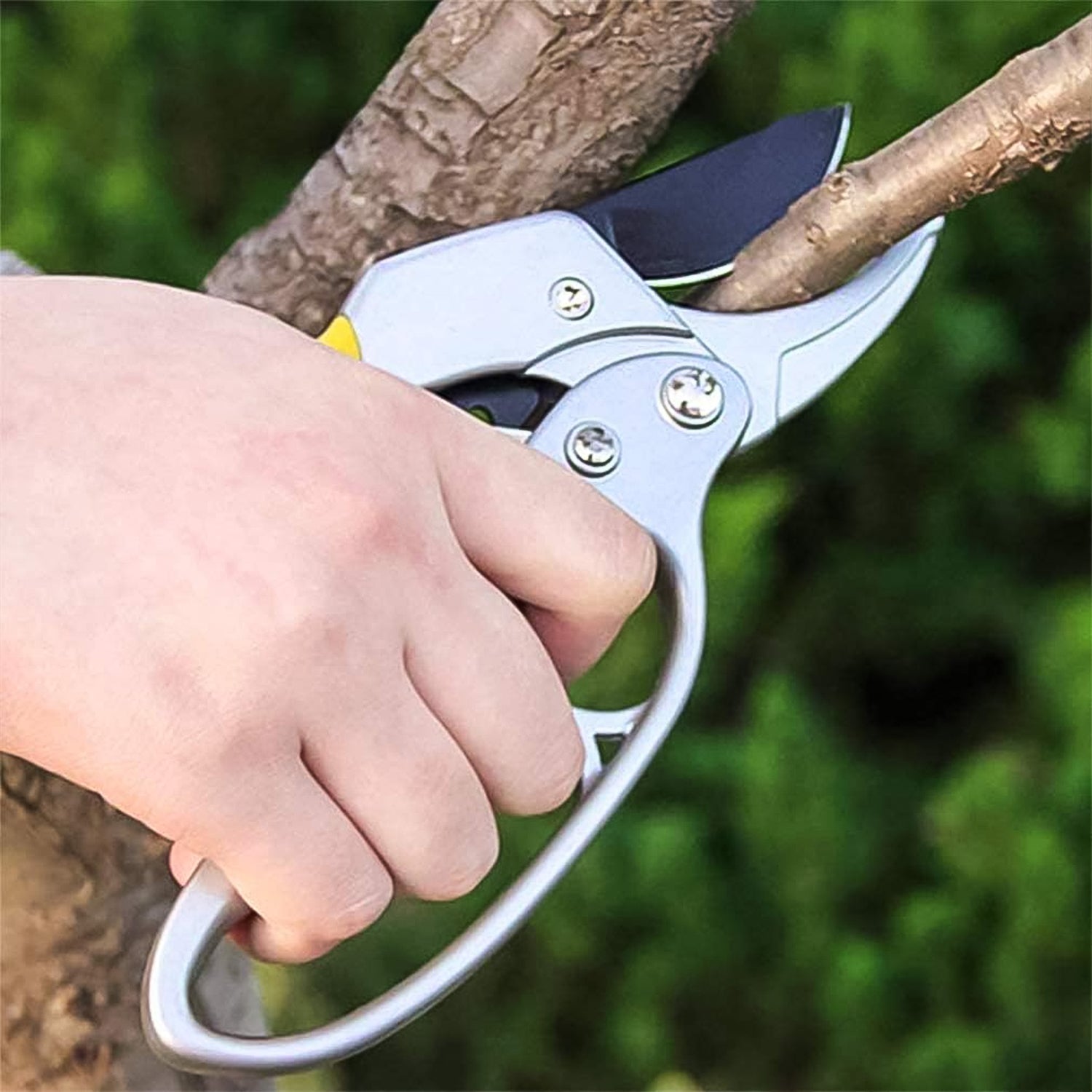 Pruning Shears, Gardening Shears, Enhanced Garden Shears Pruning Machine - Shivani Jaswal Pruning Shears, Gardening Shears, Enhanced Garden Shears Pruning Machine