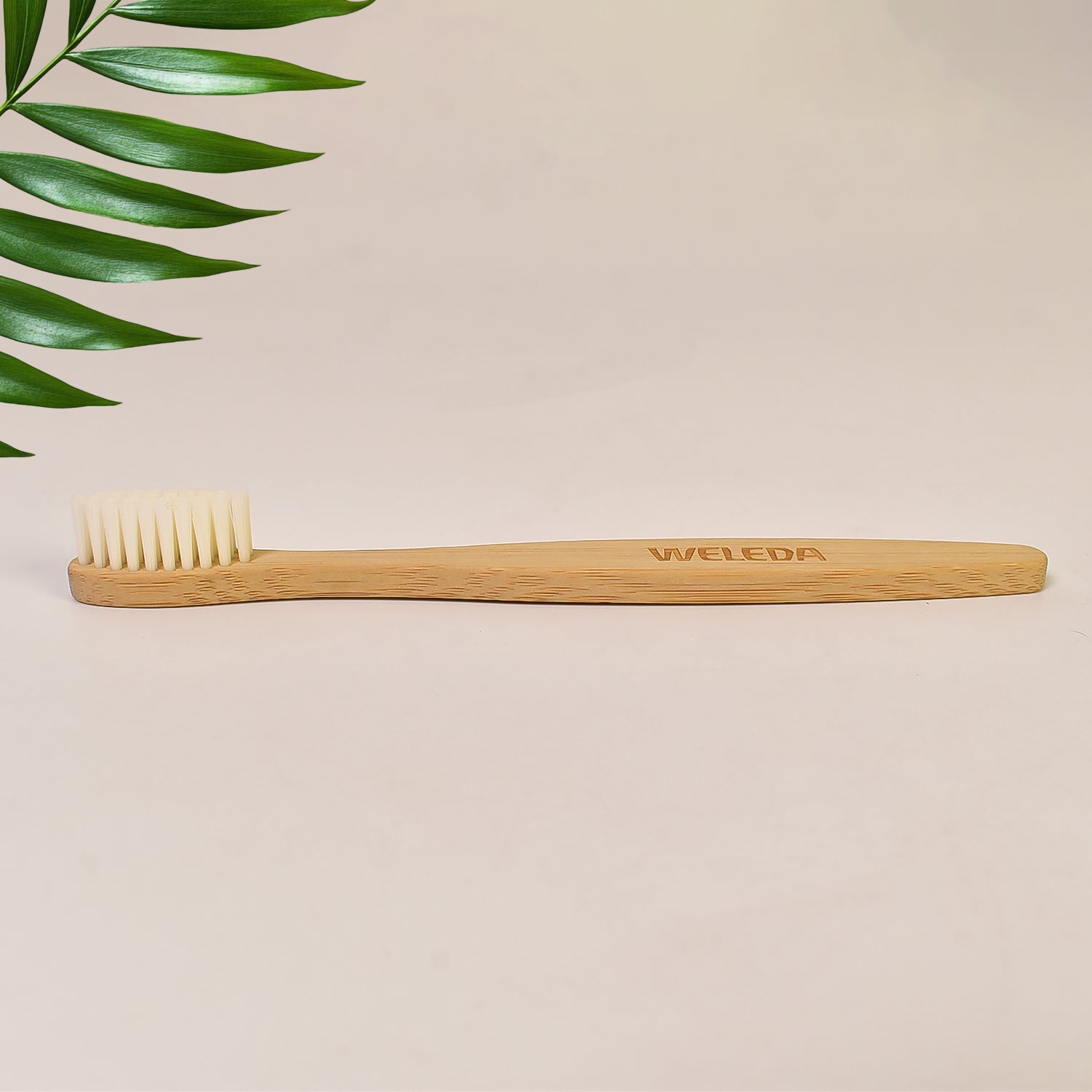 Wooden / Bamboo Brush Toothbrush Ultra Soft Bristles (1 Pc) - Shivani Jaswal Wooden / Bamboo Brush Toothbrush Ultra Soft Bristles (1 Pc)