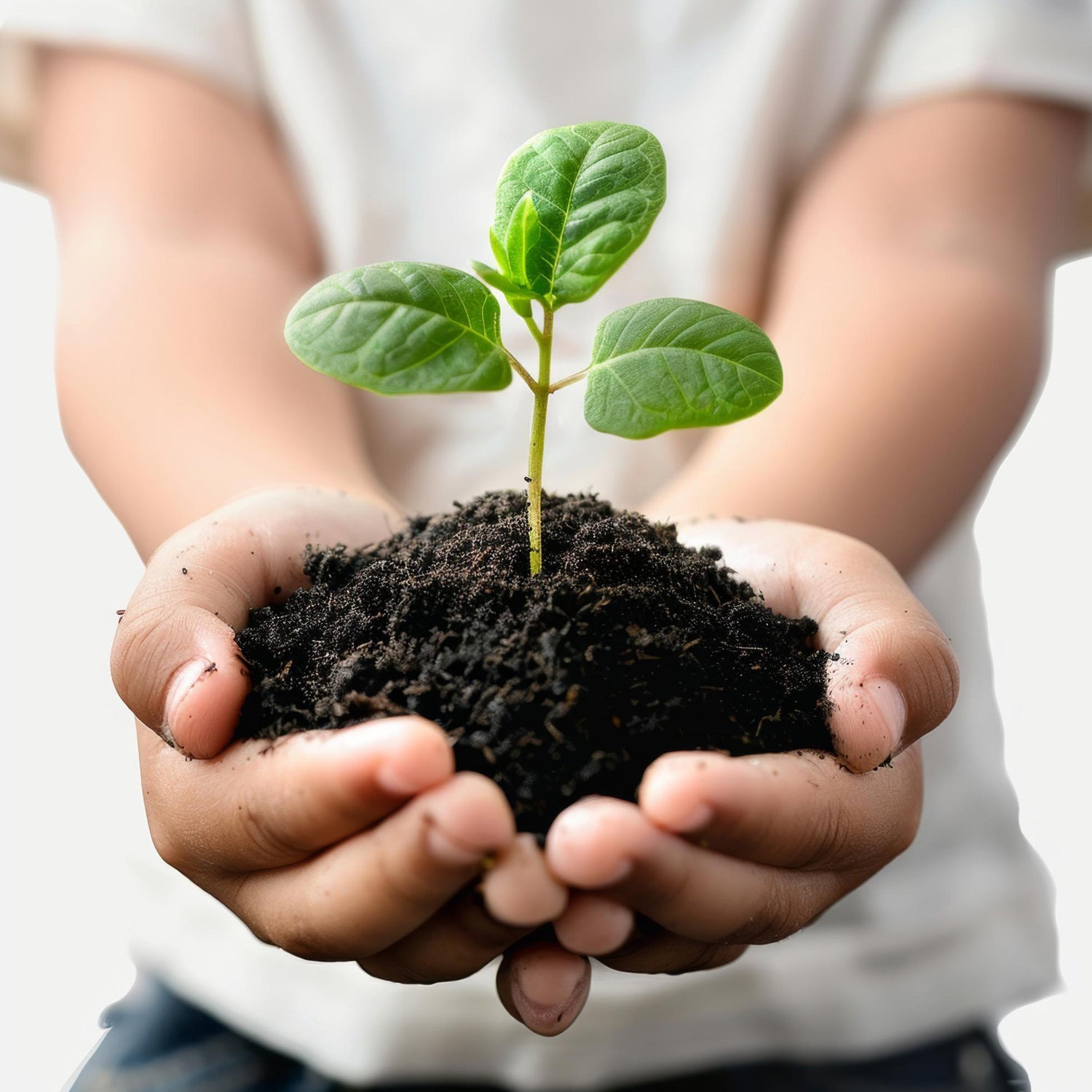 Organic Vermicompost Black Soil for Plants Health Manure (1 KG Approx) - Shivani Jaswal Organic Vermicompost Black Soil for Plants Health Manure (1 KG Approx)
