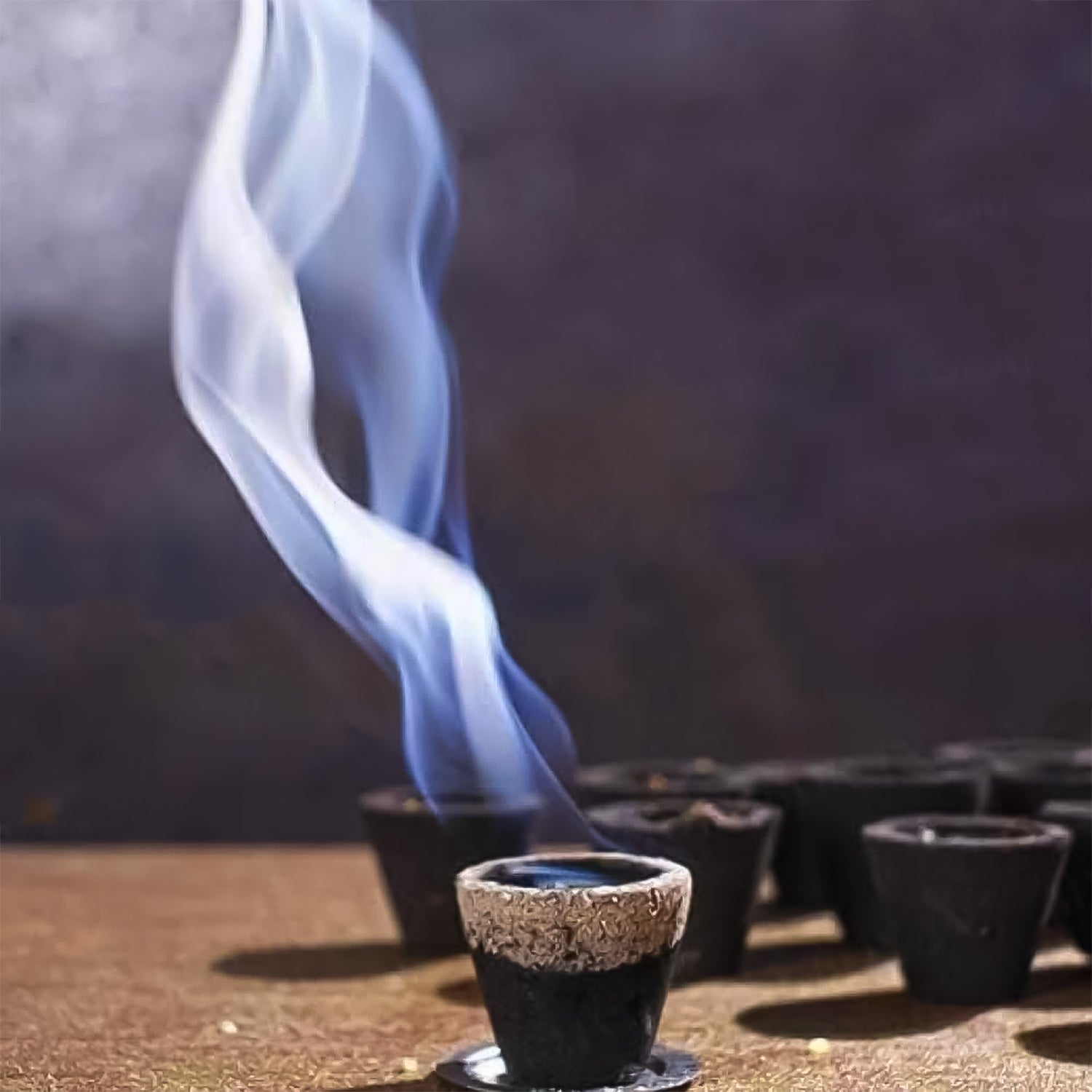 Premium Gugal Sambrani Cup Sambrani Havan Cups (12 Pcs Set) - Shivani Jaswal Premium Gugal Sambrani Cup Sambrani Havan Cups (12 Pcs Set)