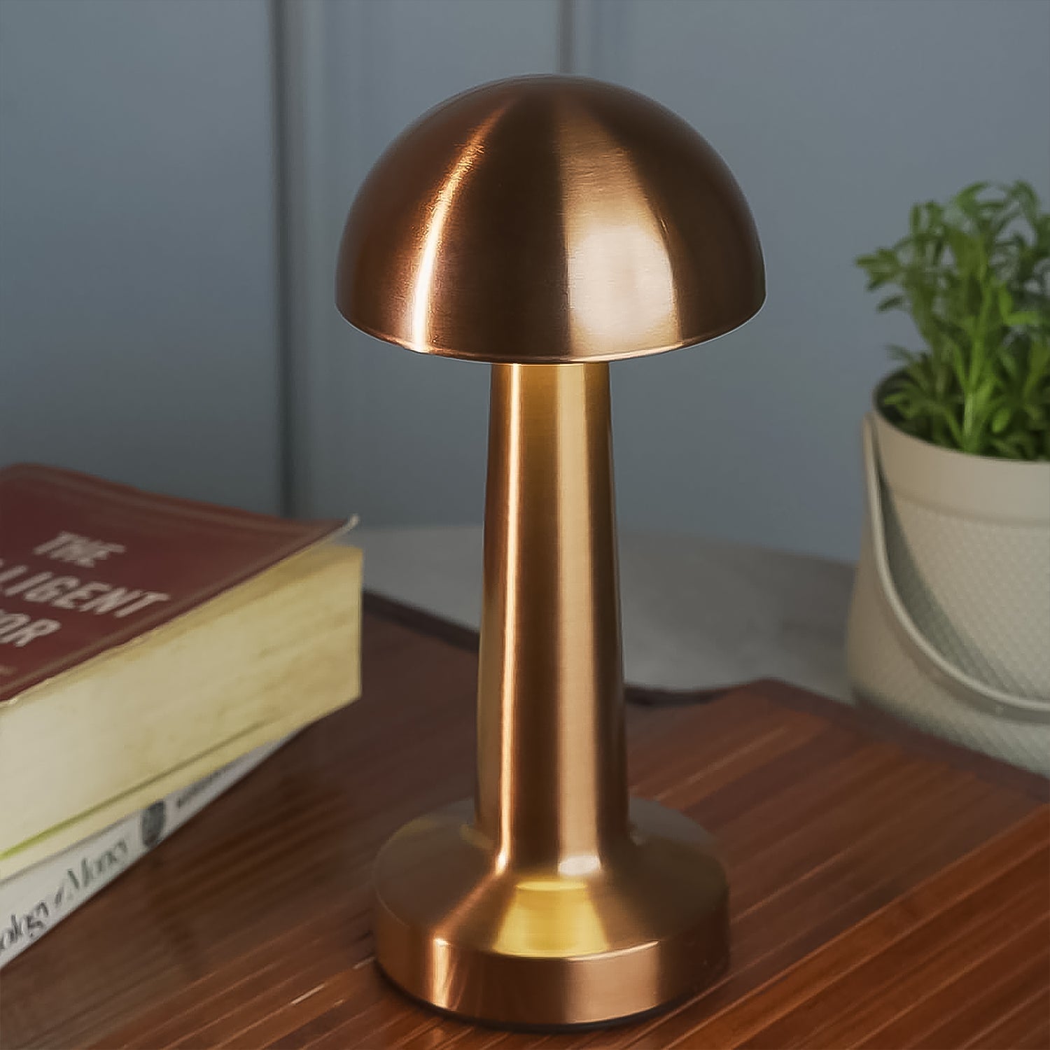 LED Lamp with Touch Control | Decorative Desk Lamp, Portable Metal LED Table Lamp - Shivani Jaswal LED Lamp with Touch Control | Decorative Desk Lamp, Portable Metal LED Table Lamp