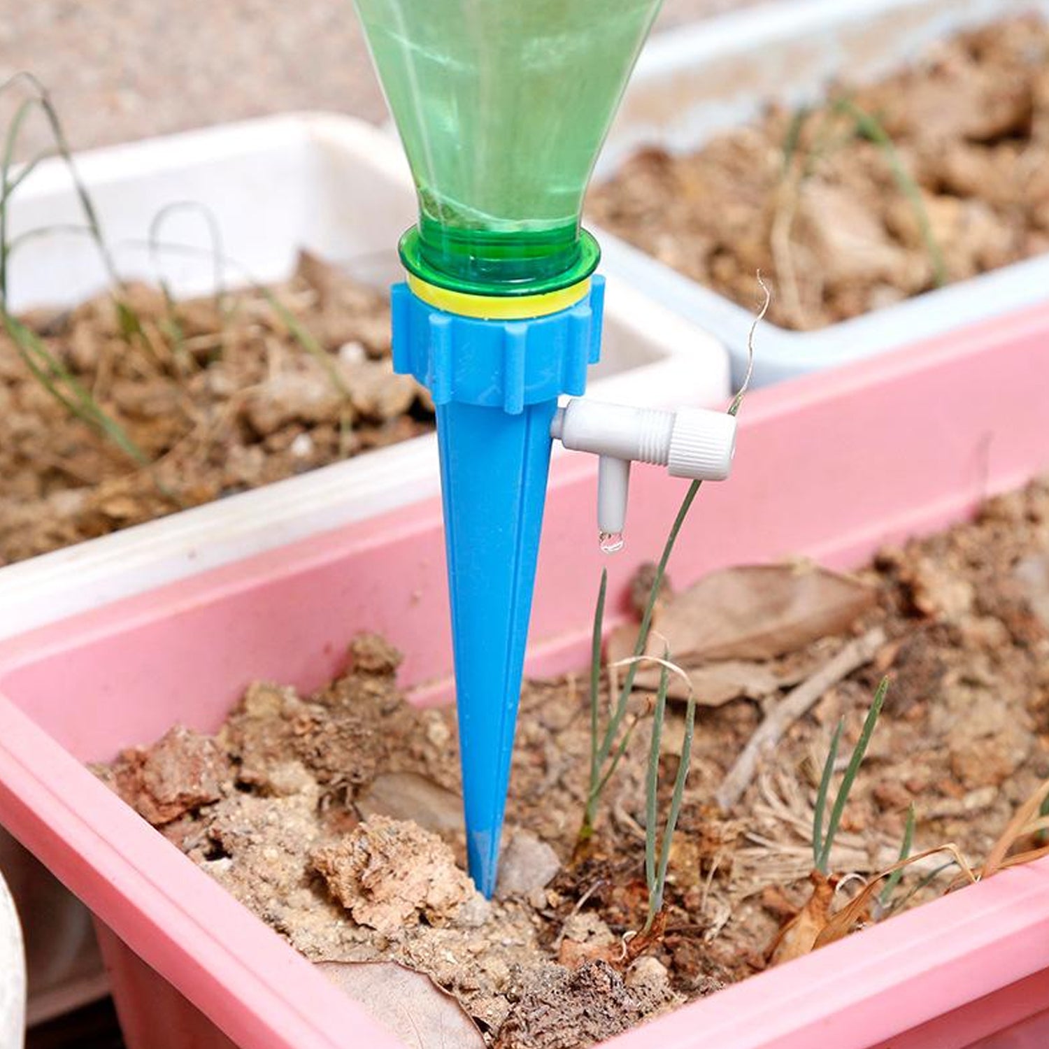 Adjustable Plant Watering Spikes with Slow Release Valve - Shivani Jaswal Adjustable Plant Watering Spikes with Slow Release Valve