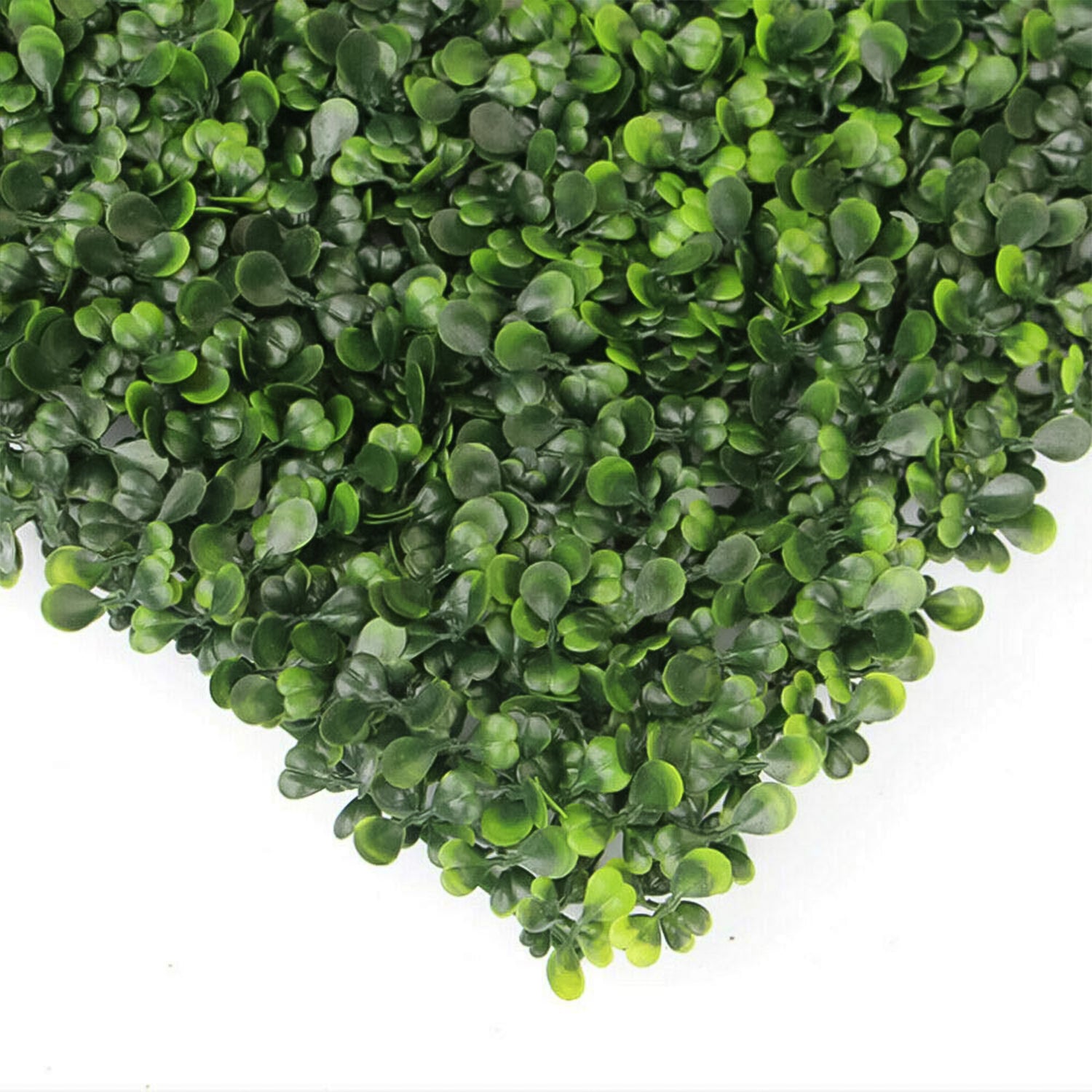 Plastic Wall Artificial Plant Base (60×40 CM / 1 Pc) - Shivani Jaswal Plastic Wall Artificial Plant Base (60×40 CM / 1 Pc)