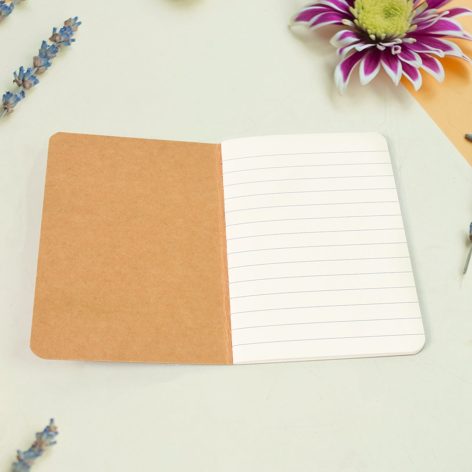 Pocket notebook Small notebook Mini notebook (8 Pcs Set) - Shivani Jaswal Pocket notebook Small notebook Mini notebook (8 Pcs Set)