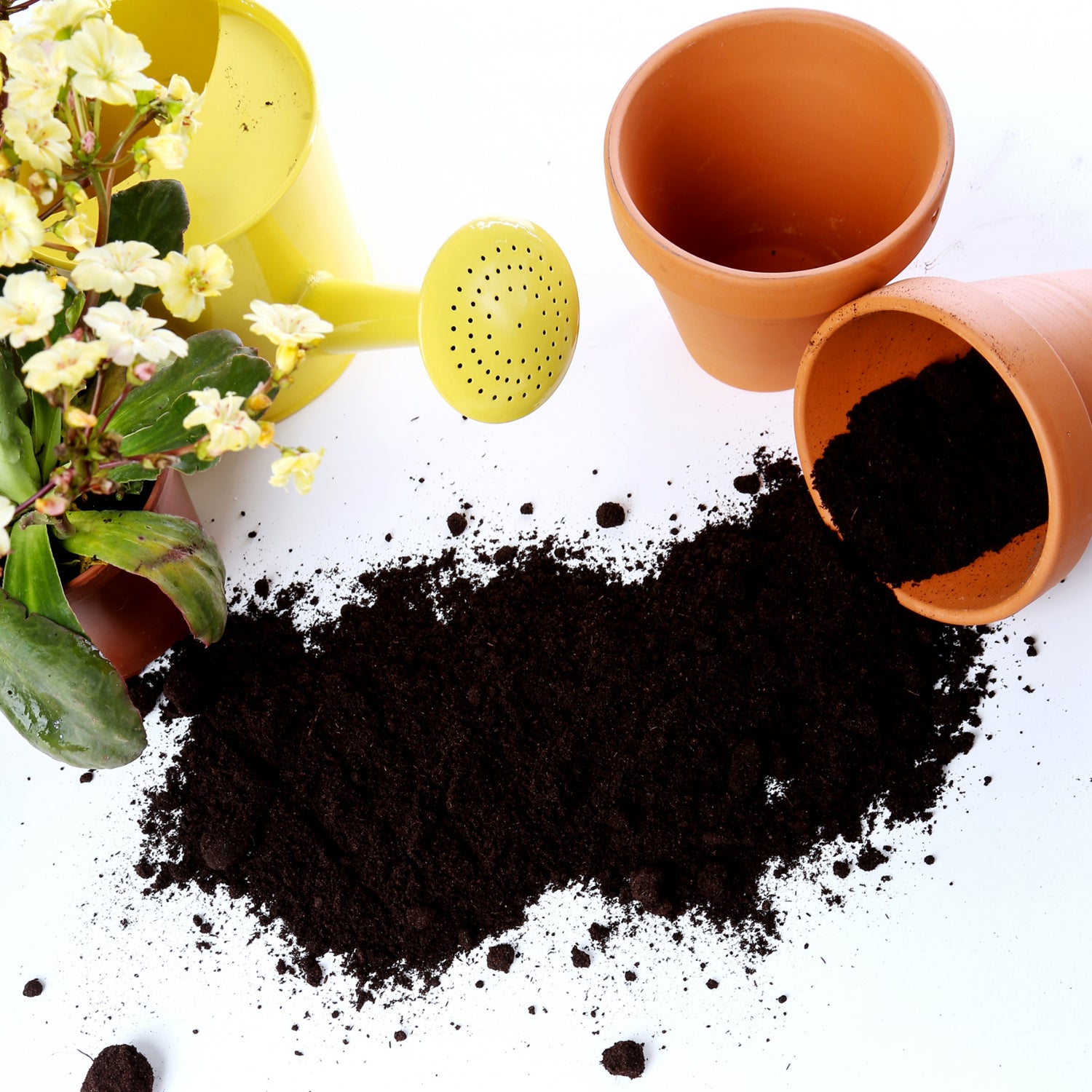 Organic Vermicompost Black Soil for Plants Health Manure (1 KG Approx) - Shivani Jaswal Organic Vermicompost Black Soil for Plants Health Manure (1 KG Approx)