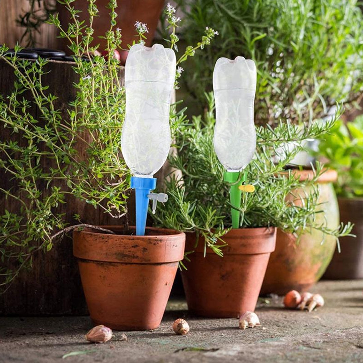 Adjustable Plant Watering Spikes with Slow Release Valve - Shivani Jaswal Adjustable Plant Watering Spikes with Slow Release Valve