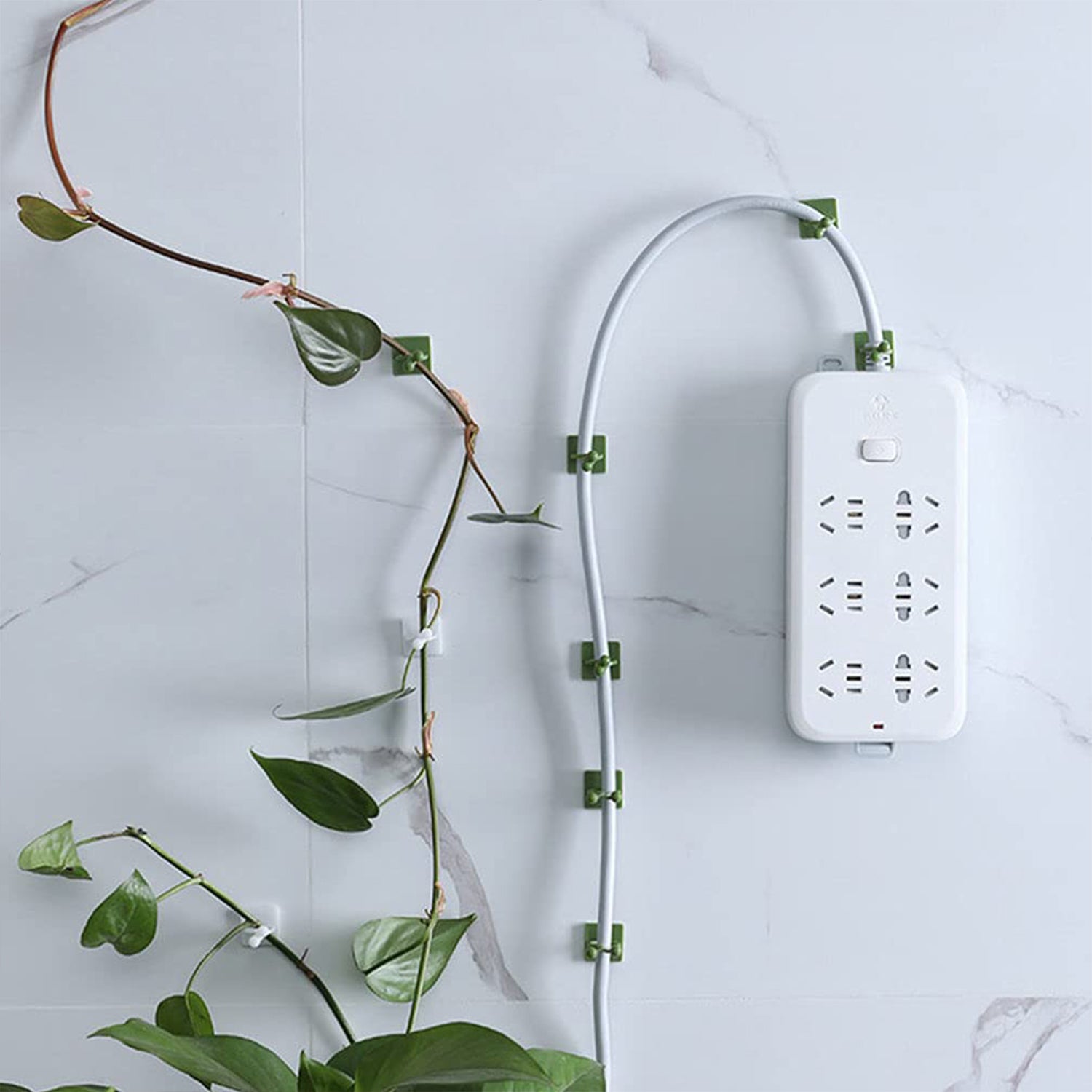 Plant Climbing Wall Fixture Clip Self-Adhesive Hook (200 Pcs Set) - Shivani Jaswal Plant Climbing Wall Fixture Clip Self-Adhesive Hook (200 Pcs Set)