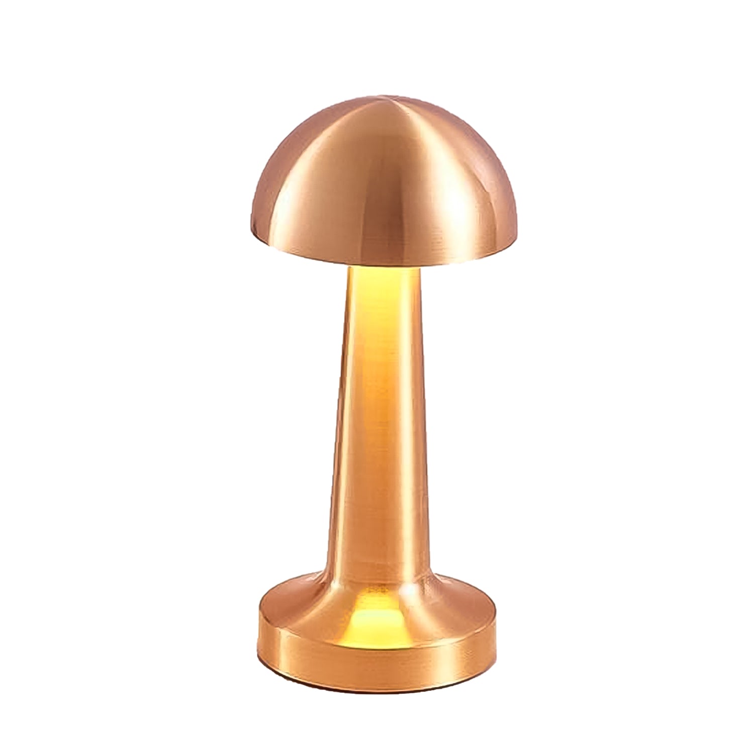 LED Lamp with Touch Control | Decorative Desk Lamp, Portable Metal LED Table Lamp - Shivani Jaswal LED Lamp with Touch Control | Decorative Desk Lamp, Portable Metal LED Table Lamp