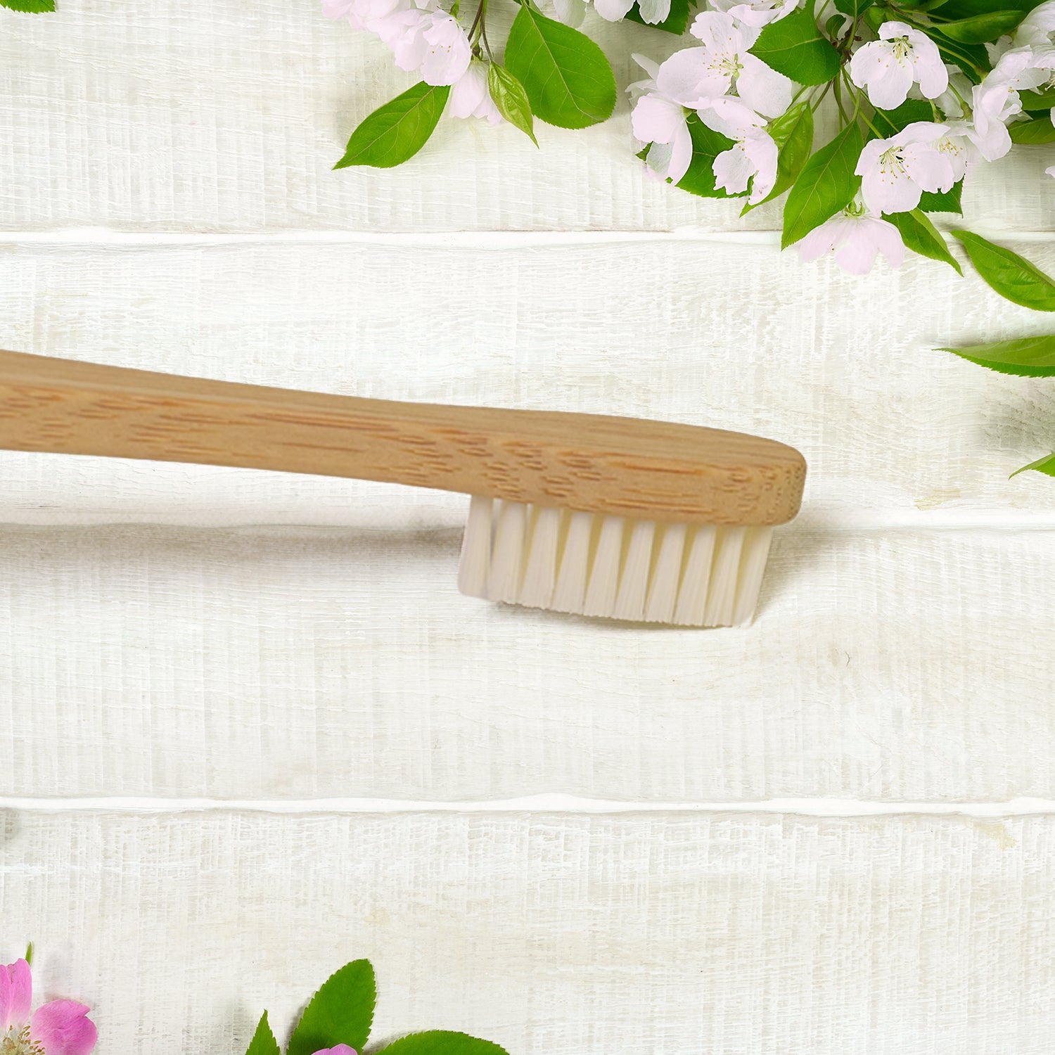 Wooden / Bamboo Brush Toothbrush Ultra Soft Bristles (1 Pc) - Shivani Jaswal Wooden / Bamboo Brush Toothbrush Ultra Soft Bristles (1 Pc)