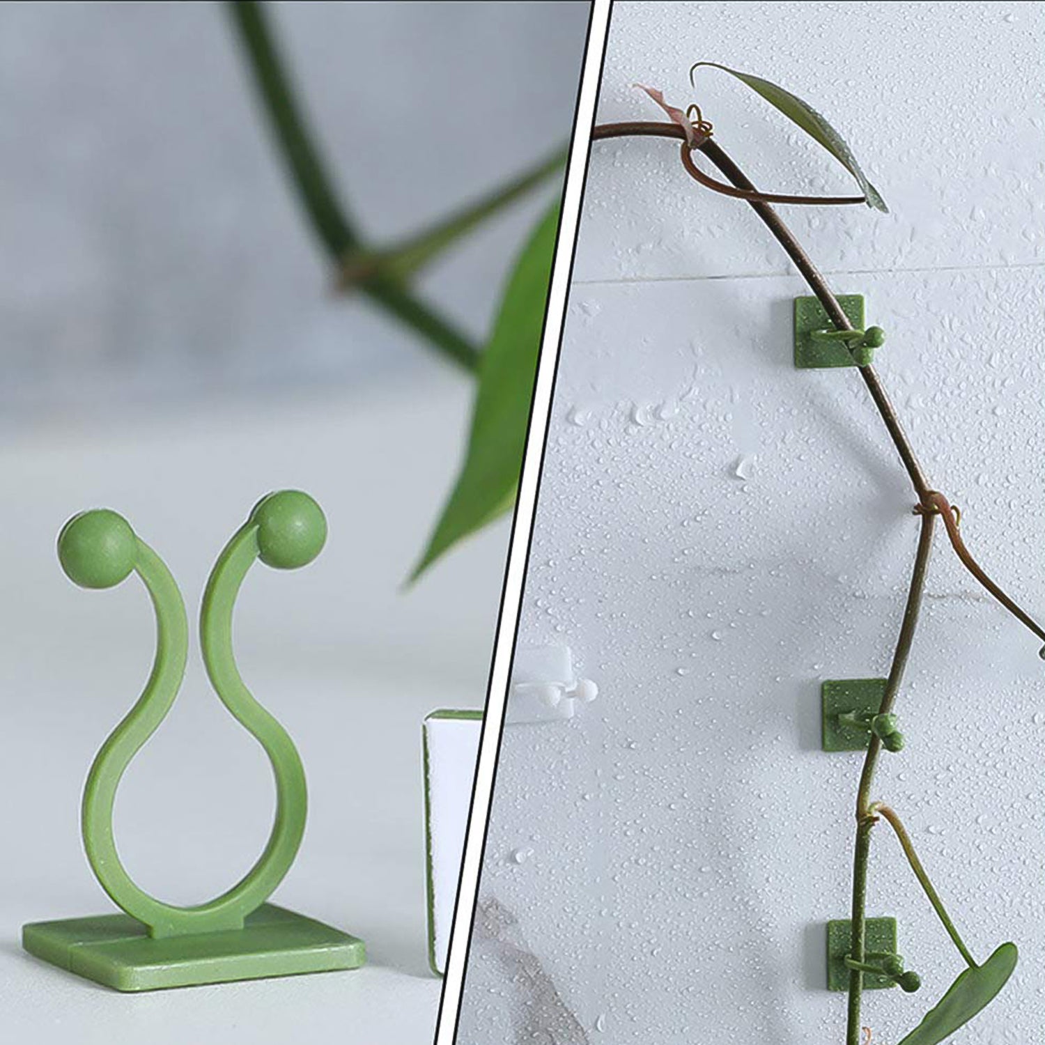 Plant Climbing Wall Fixture Clip Self-Adhesive Hook (200 Pcs Set) - Shivani Jaswal Plant Climbing Wall Fixture Clip Self-Adhesive Hook (200 Pcs Set)