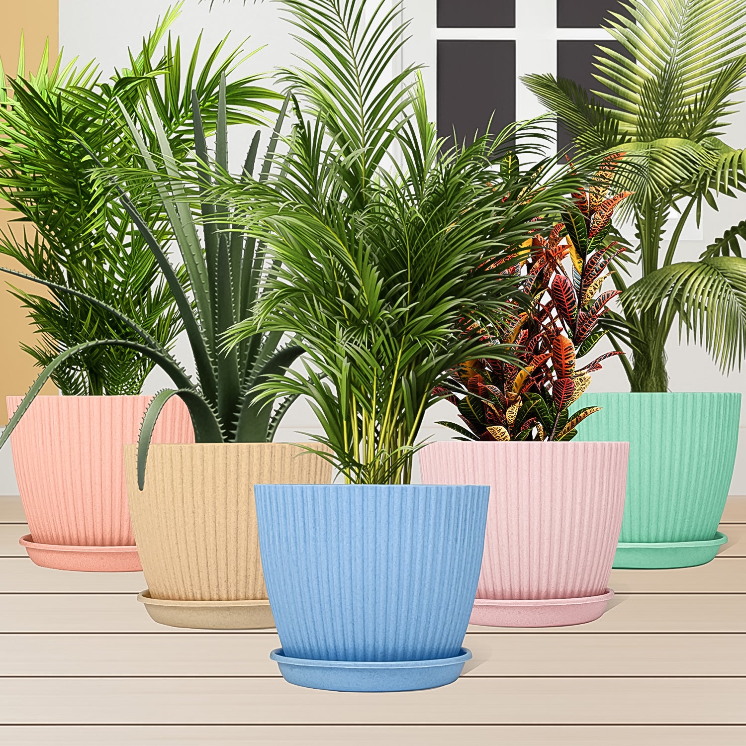 Round Plastic Flower Pot with Bottom Tray (5 Pcs Set / With Color Box) - Shivani Jaswal Round Plastic Flower Pot with Bottom Tray (5 Pcs Set / With Color Box)