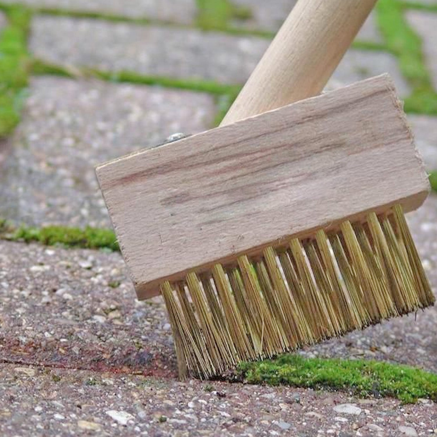 Paving Brush Wooden Block Paving Brush Patio Weed Remover Tool (1 Pc) - Shivani Jaswal Paving Brush Wooden Block Paving Brush Patio Weed Remover Tool (1 Pc)