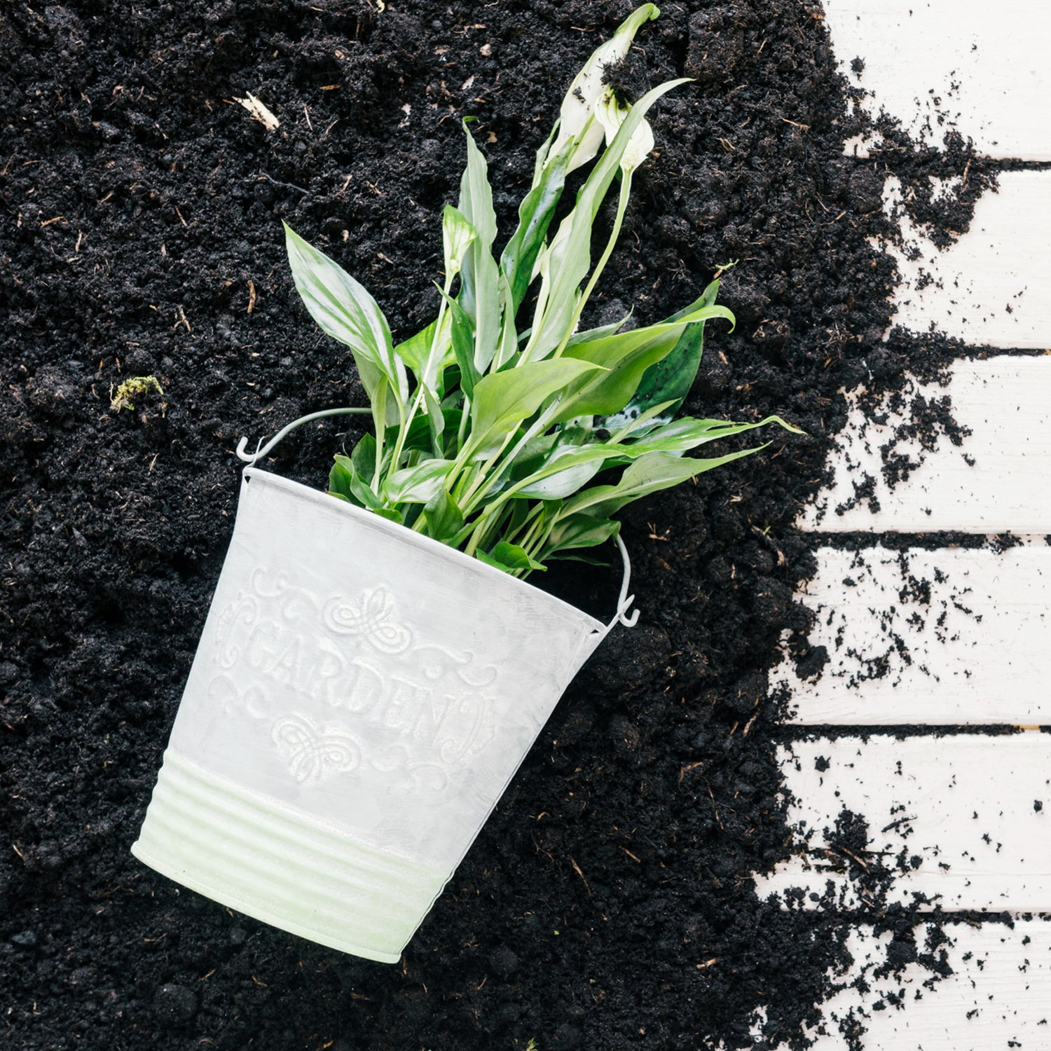 Organic Vermicompost Black Soil for Plants Health Manure (1 KG Approx) - Shivani Jaswal Organic Vermicompost Black Soil for Plants Health Manure (1 KG Approx)
