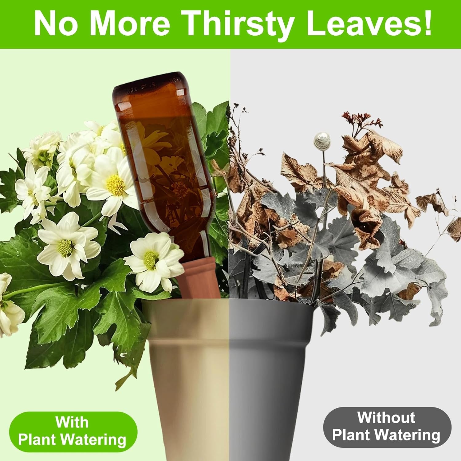 Self Plant Watering Spikes (4 Pcs Set) - Shivani Jaswal Self Plant Watering Spikes (4 Pcs Set)