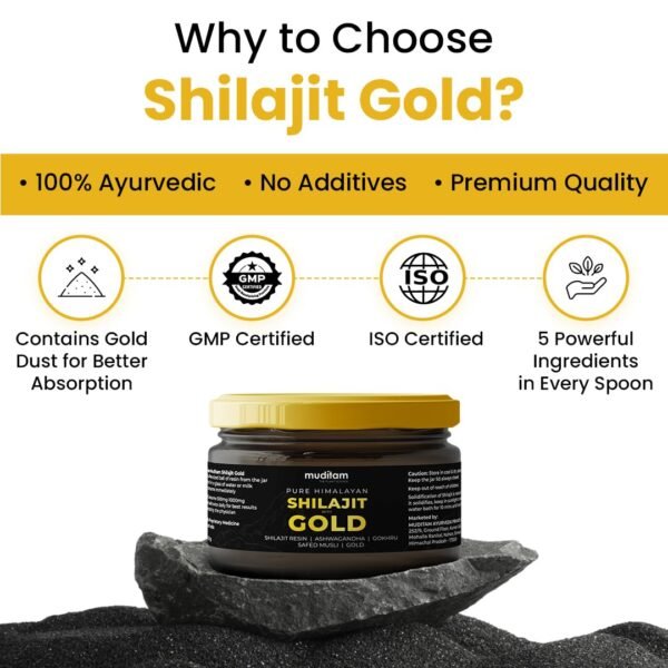 Himalayan Shilajit Gold Resin â€“ 20g | Helps improve Stamina | Contains Gold