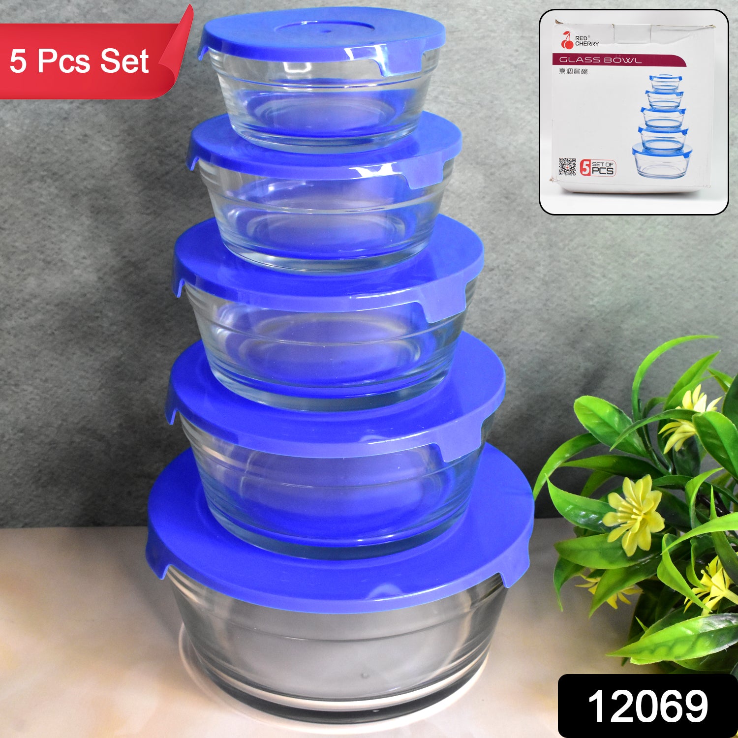 Modern Glass Bowl Set Mixing / Storage Bowls with Lids (5 Pcs Set) - Shivani Jaswal Modern Glass Bowl Set Mixing / Storage Bowls with Lids (5 Pcs Set)