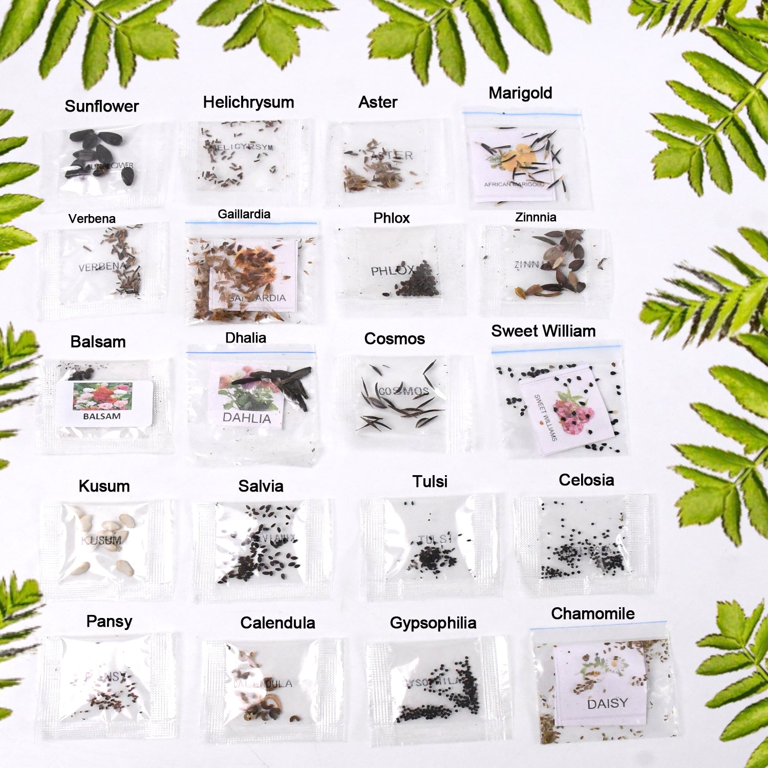 Seeds 20 Varieties of Flower Seeds Combo (1 Pkt / 20 Varieties) - Shivani Jaswal Seeds 20 Varieties of Flower Seeds Combo (1 Pkt / 20 Varieties)