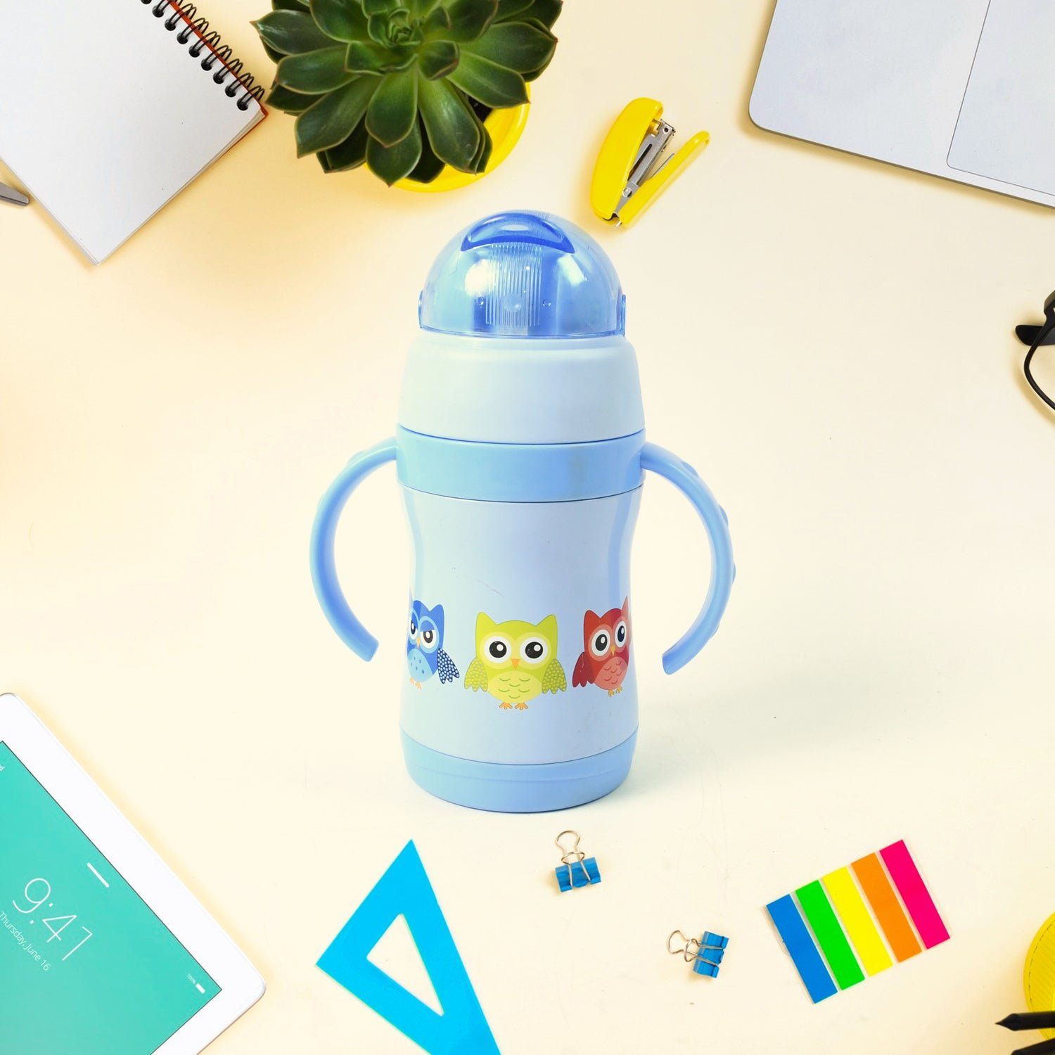 Vacuum Stainless Steel Water Bottle With Carry Handle & Straw (280 ML) - Shivani Jaswal Vacuum Stainless Steel Water Bottle With Carry Handle & Straw (280 ML)