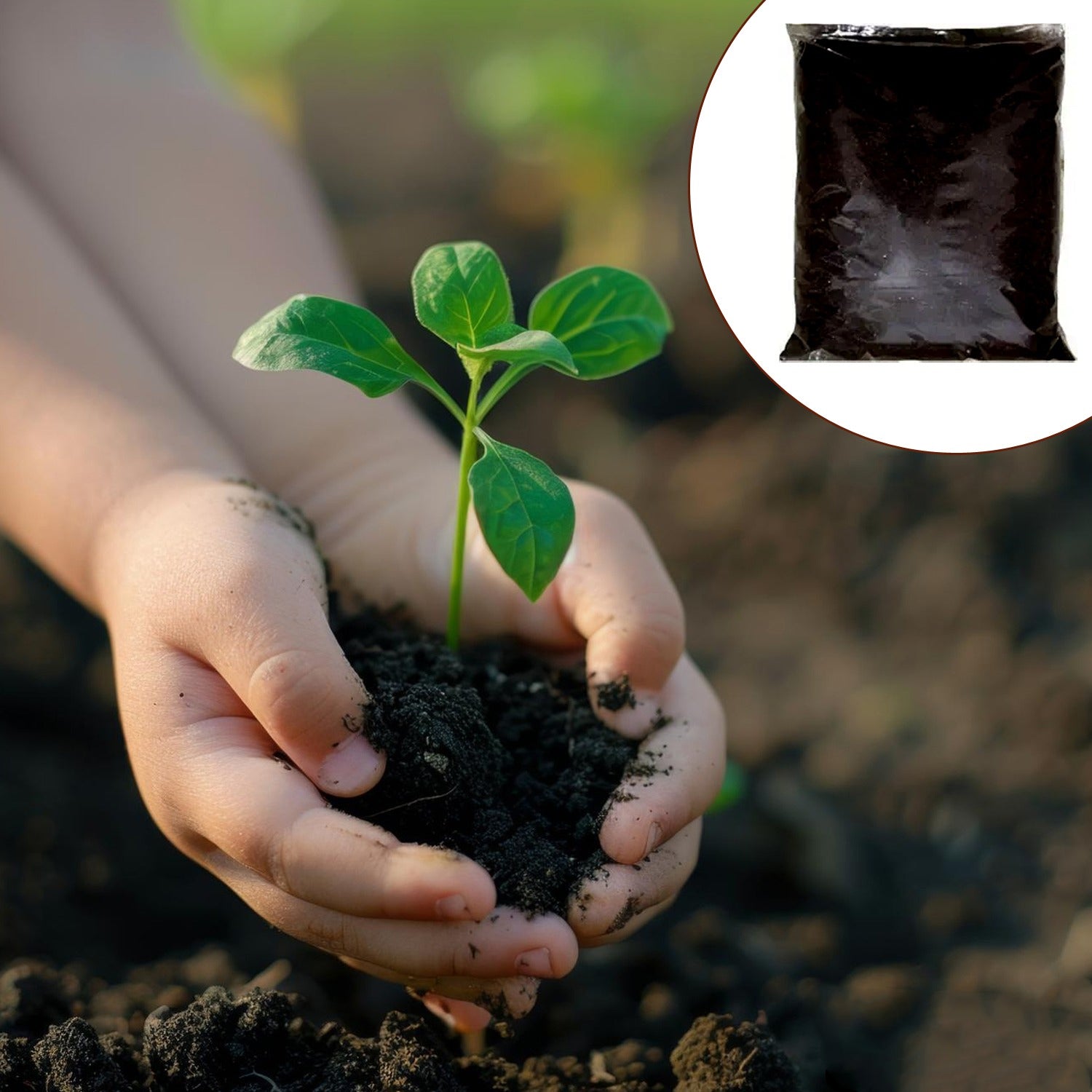 Organic Vermicompost Black Soil for Plants Health Manure (1 KG Approx) - Shivani Jaswal Organic Vermicompost Black Soil for Plants Health Manure (1 KG Approx)