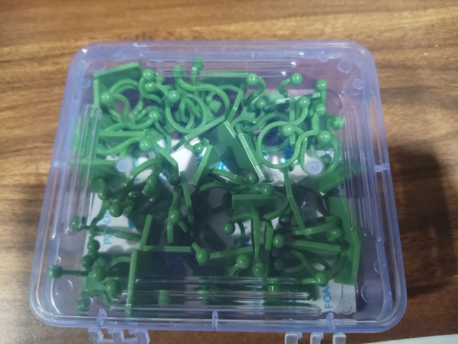 Plant Climbing Wall Fixture Clip Self-Adhesive Hook (40 Pcs Set / With plastic box) - Shivani Jaswal Plant Climbing Wall Fixture Clip Self-Adhesive Hook (40 Pcs Set / With plastic box)