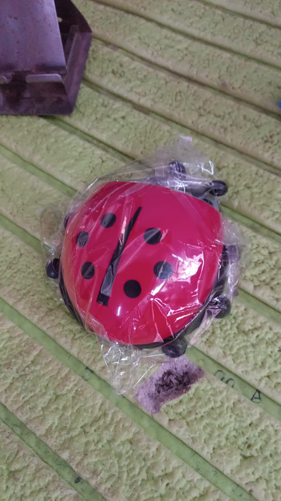 Ladybug Toothbrush Holder (1 Pc) - Shivani Jaswal Ladybug Toothbrush Holder (1 Pc)