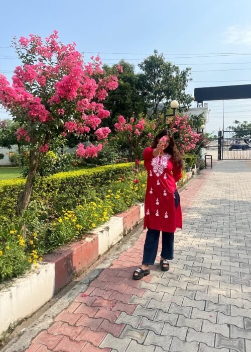 Live Pink Hybrid Climbing Bougainvillea Flower Plant – Spectabilis Double in Black Pot - Shivani Jaswal Live Pink Bougainvillea Spectabilis Hybrid Plant in Black Pot – Climbing Flowering Plant for Garden Decor