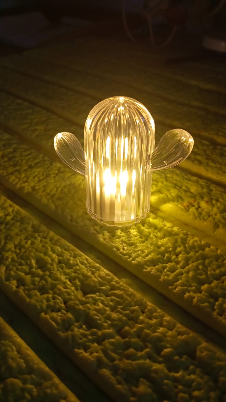 Cute Cactus LED Night Light (Cactus / 1 Pc) - Shivani Jaswal Cute Cactus LED Night Light (Cactus / 1 Pc)