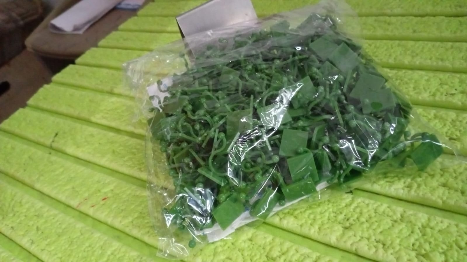 Plant Climbing Wall Fixture Clip Self-Adhesive Hook (200 Pcs Set) - Shivani Jaswal Plant Climbing Wall Fixture Clip Self-Adhesive Hook (200 Pcs Set)