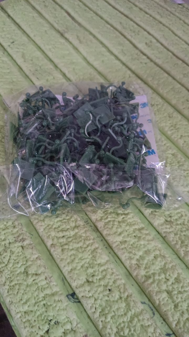 Plant Climbing Wall Fixture Clip Self-Adhesive Hook (100 Pcs Set) - Shivani Jaswal Plant Climbing Wall Fixture Clip Self-Adhesive Hook (100 Pcs Set)