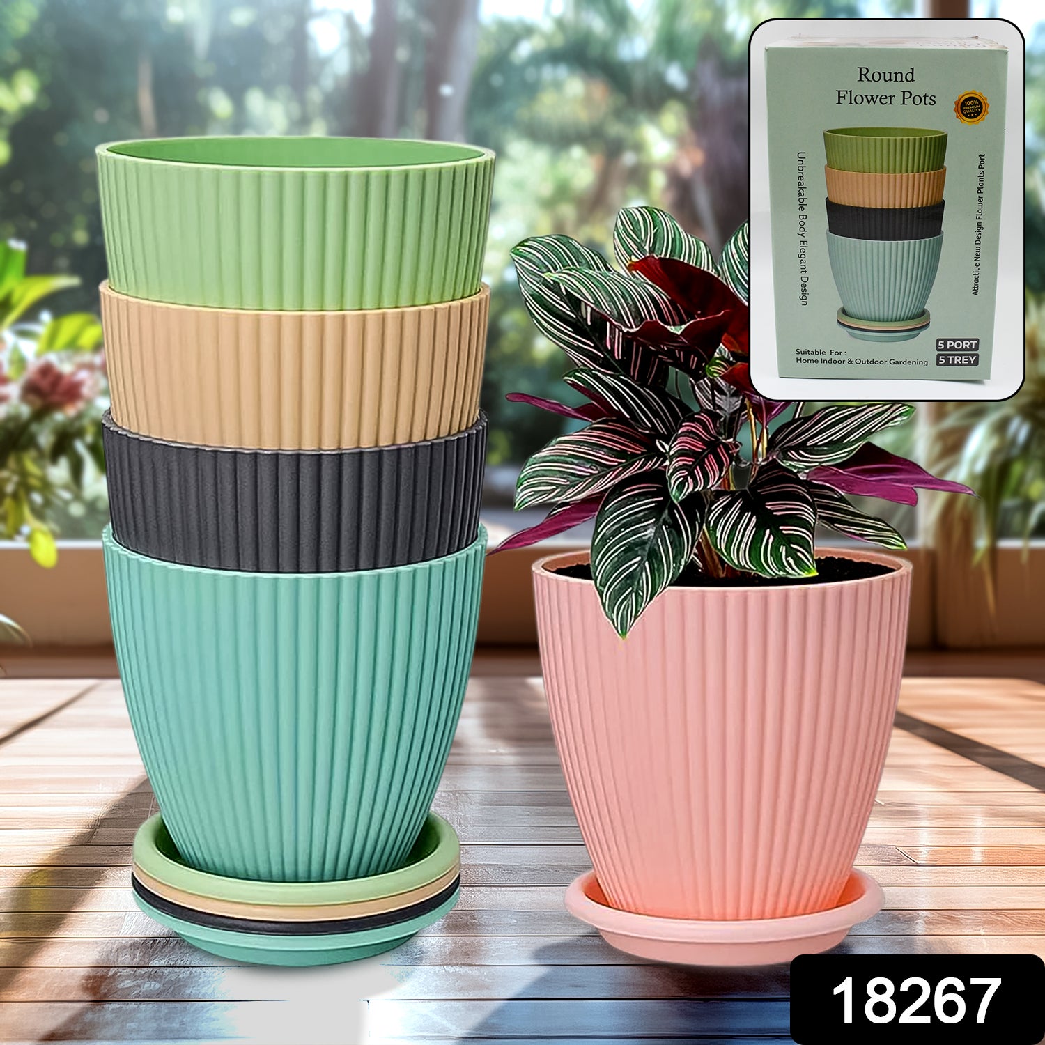 Round Plastic Flower Pot with Bottom Tray (5 Pcs Set / With Color Box) - Shivani Jaswal Round Plastic Flower Pot with Bottom Tray (5 Pcs Set / With Color Box)