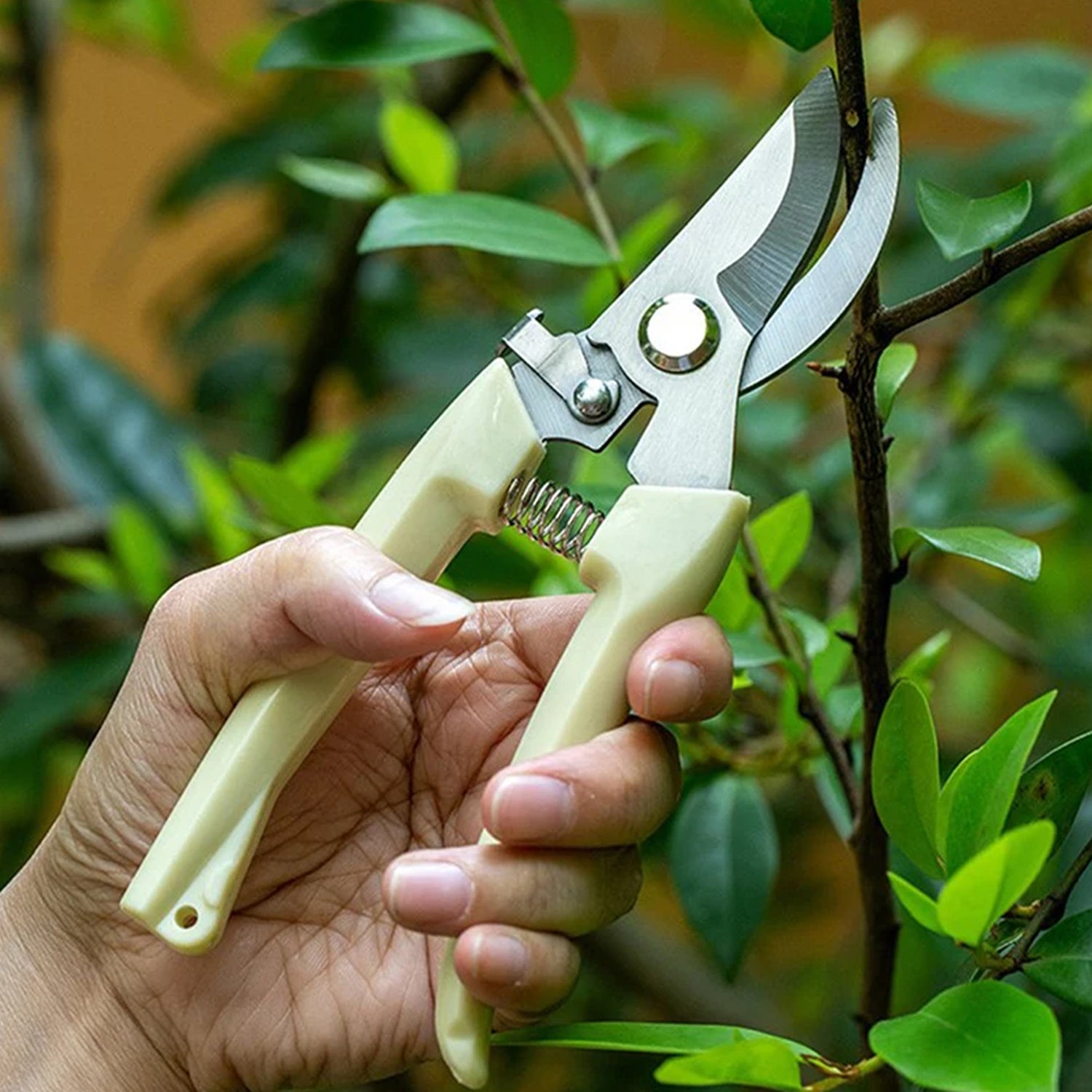 Stainless Steel Pruning Shears with Sharp Blades and Comfortable handle - Durable Hand Pruner for Comfortable and Easy Cutting, Heavy Duty Gardening Cutter Tool Plant Cutter for Home Garden | Wood Bran (1 Pc) - Shivani Jaswal Stainless Steel Pruning Shears with Sharp Blades and Comfortable handle - Durable Hand Pruner for Comfortable and Easy Cutting, Heavy Duty Gardening Cutter Tool Plant Cutter for Home Garden | Wood Bran (1 Pc)