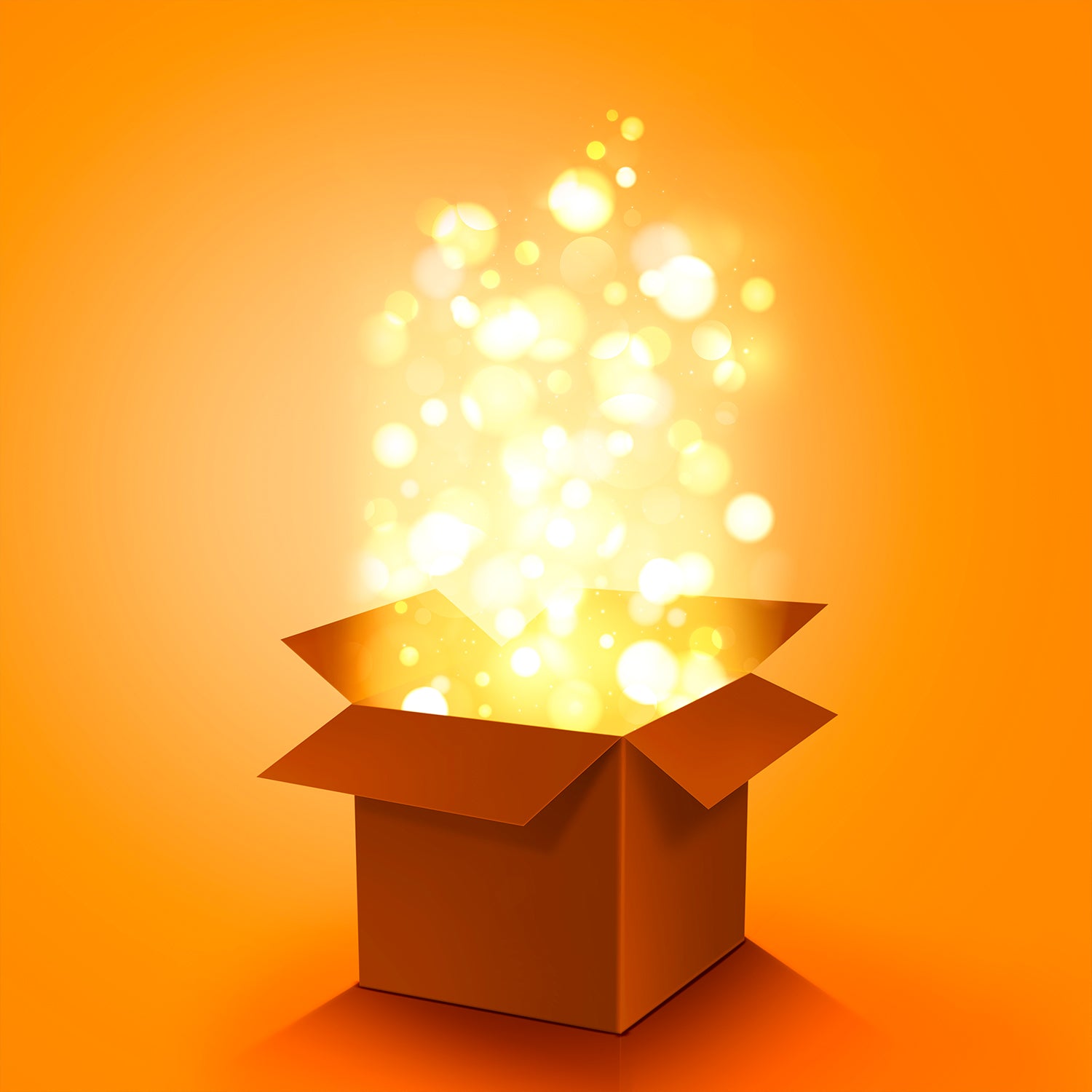 Mystery Box Premium Product Mystery Box Value Rs. 1000 - Shivani Jaswal Mystery Box Premium Product Mystery Box Value Rs. 1000
