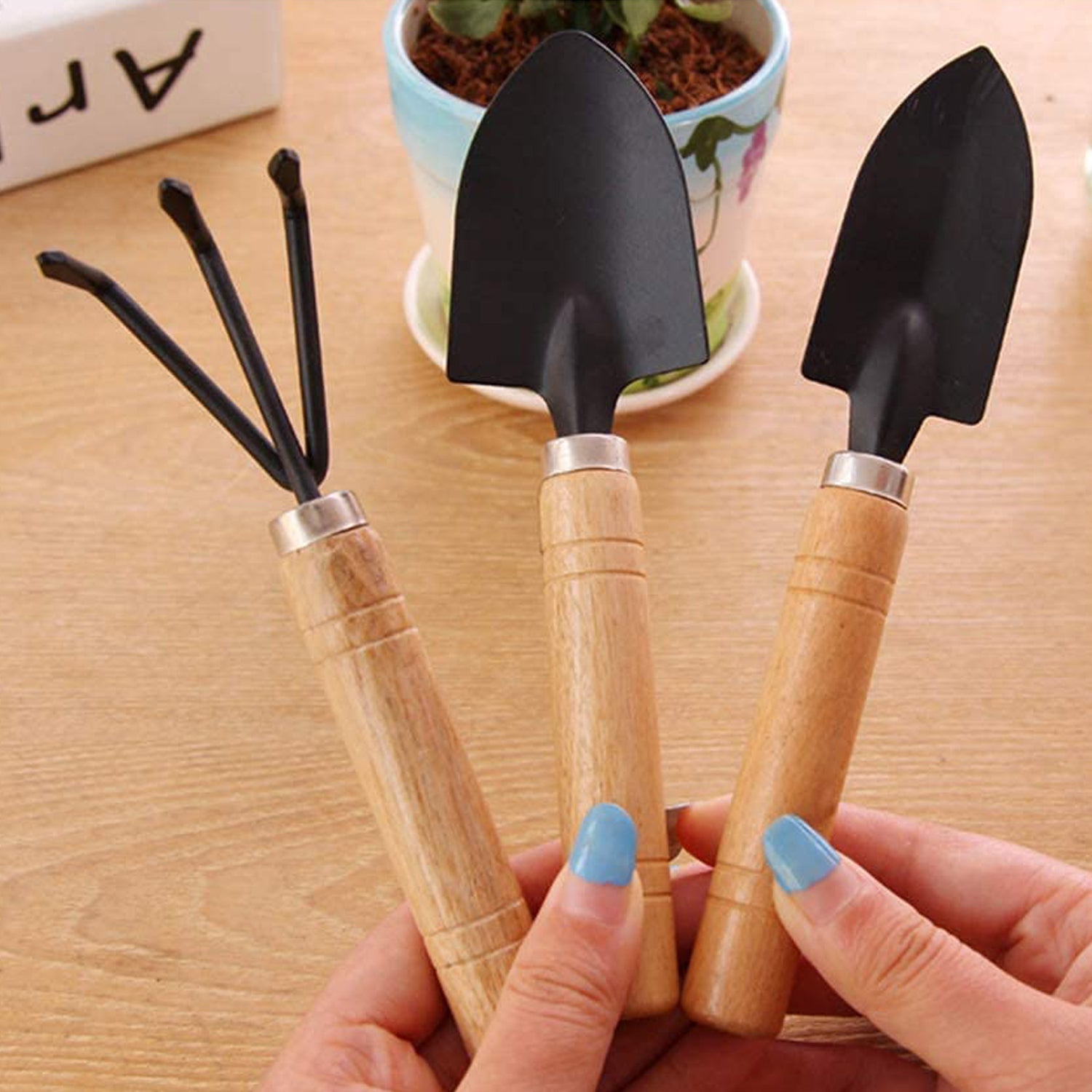 Small sized Hand Cultivator, Small Trowel, Garden Fork (Set of 3) - Shivani Jaswal Small sized Hand Cultivator, Small Trowel, Garden Fork (Set of 3)