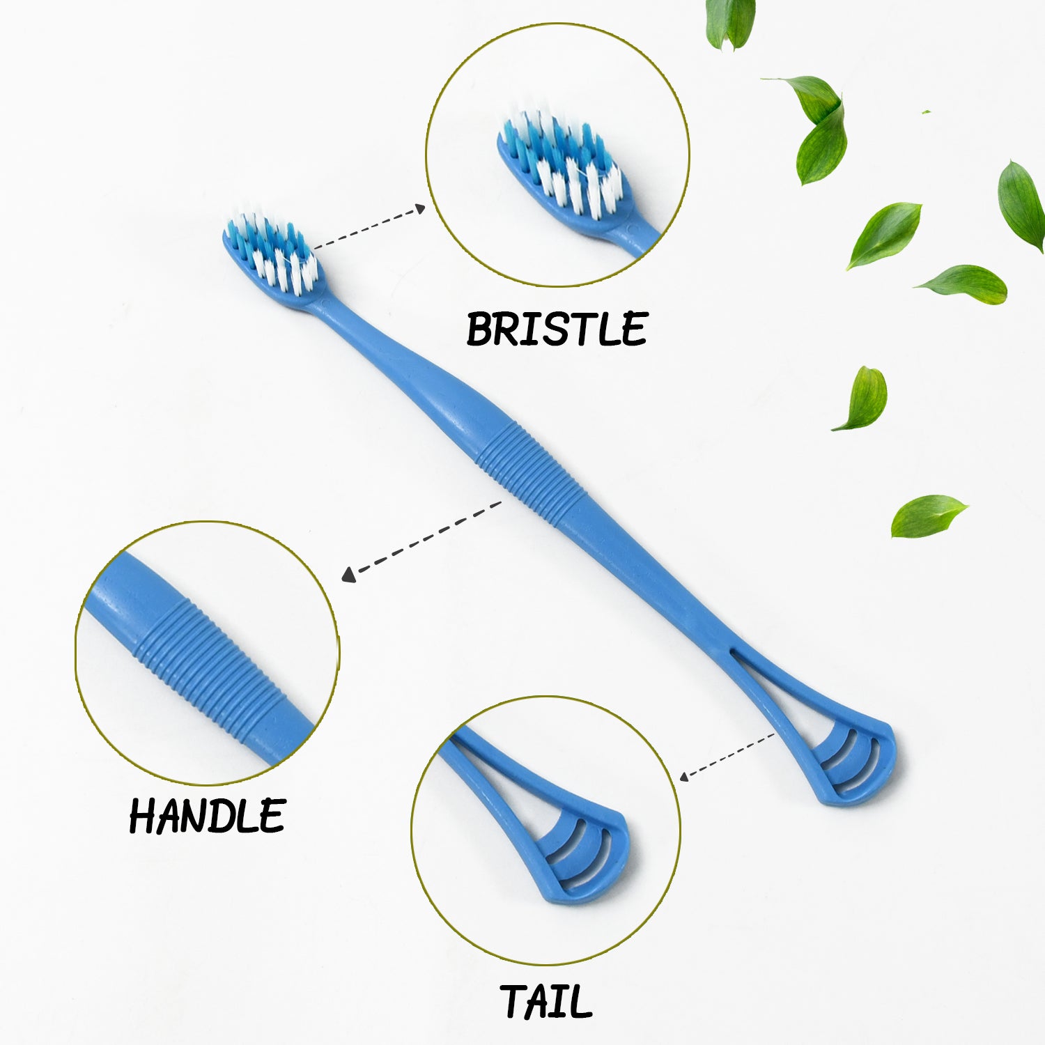 2-in-1 Tooth Brush with Tongue Scraper, Soft Bristle & Long Handle (8Pcs) Soft Toothbrush - Shivani Jaswal 2-in-1 Tooth Brush with Tongue Scraper, Soft Bristle & Long Handle (8Pcs) Soft Toothbrush